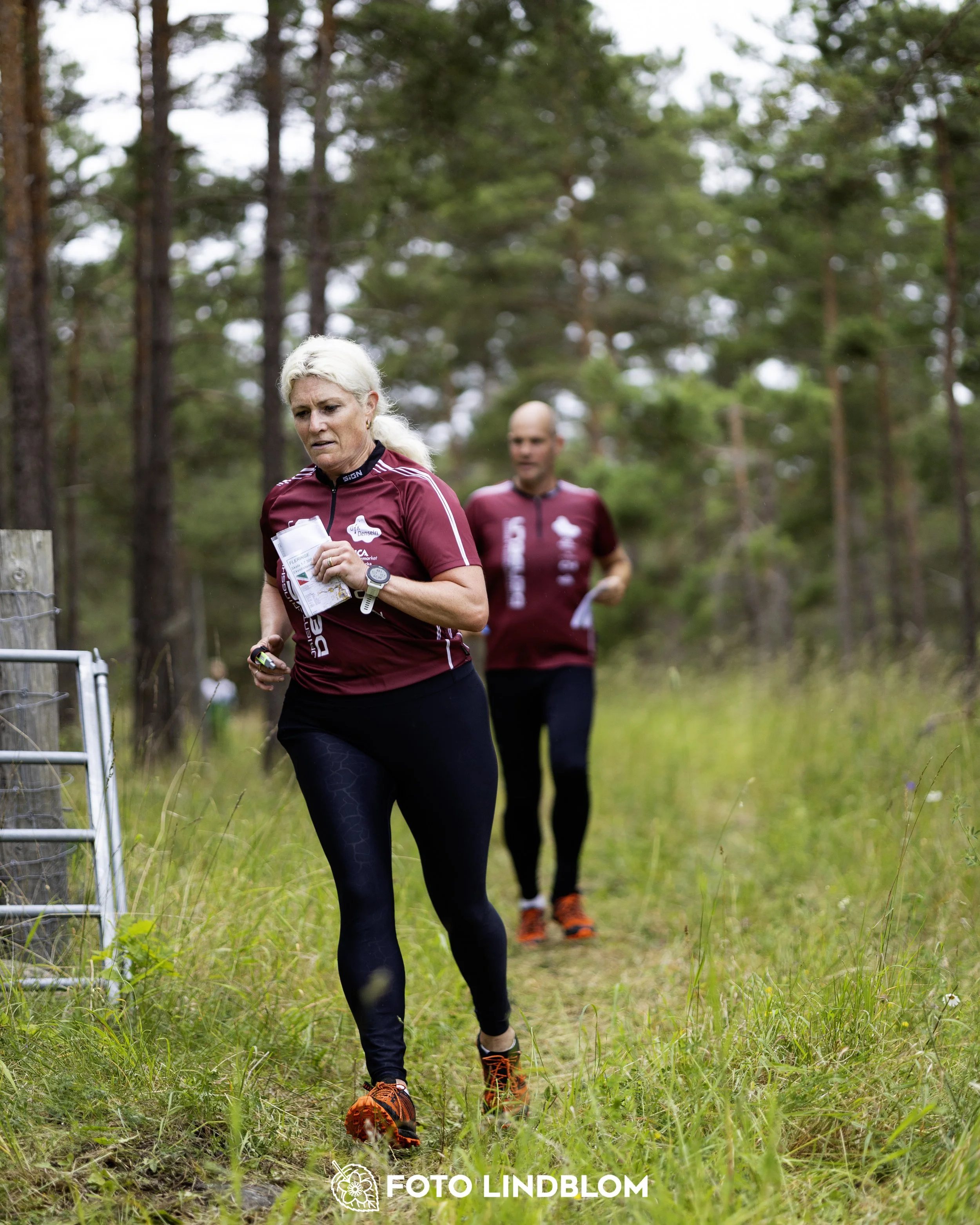 A picture from the Gotlands 2-Dagars orienteering competition