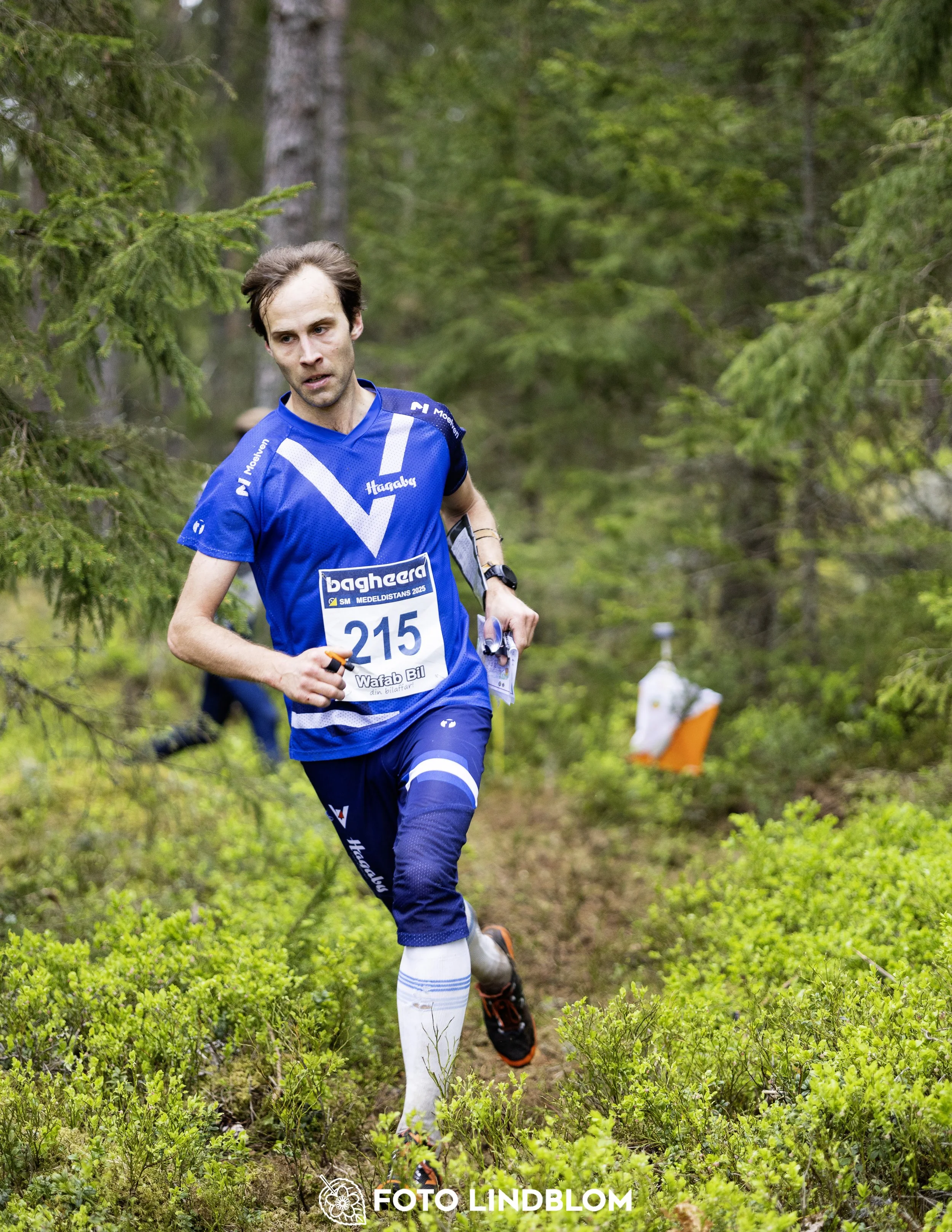 A picture from the Swedish national championship in middle distance orienteering and Swedish league race