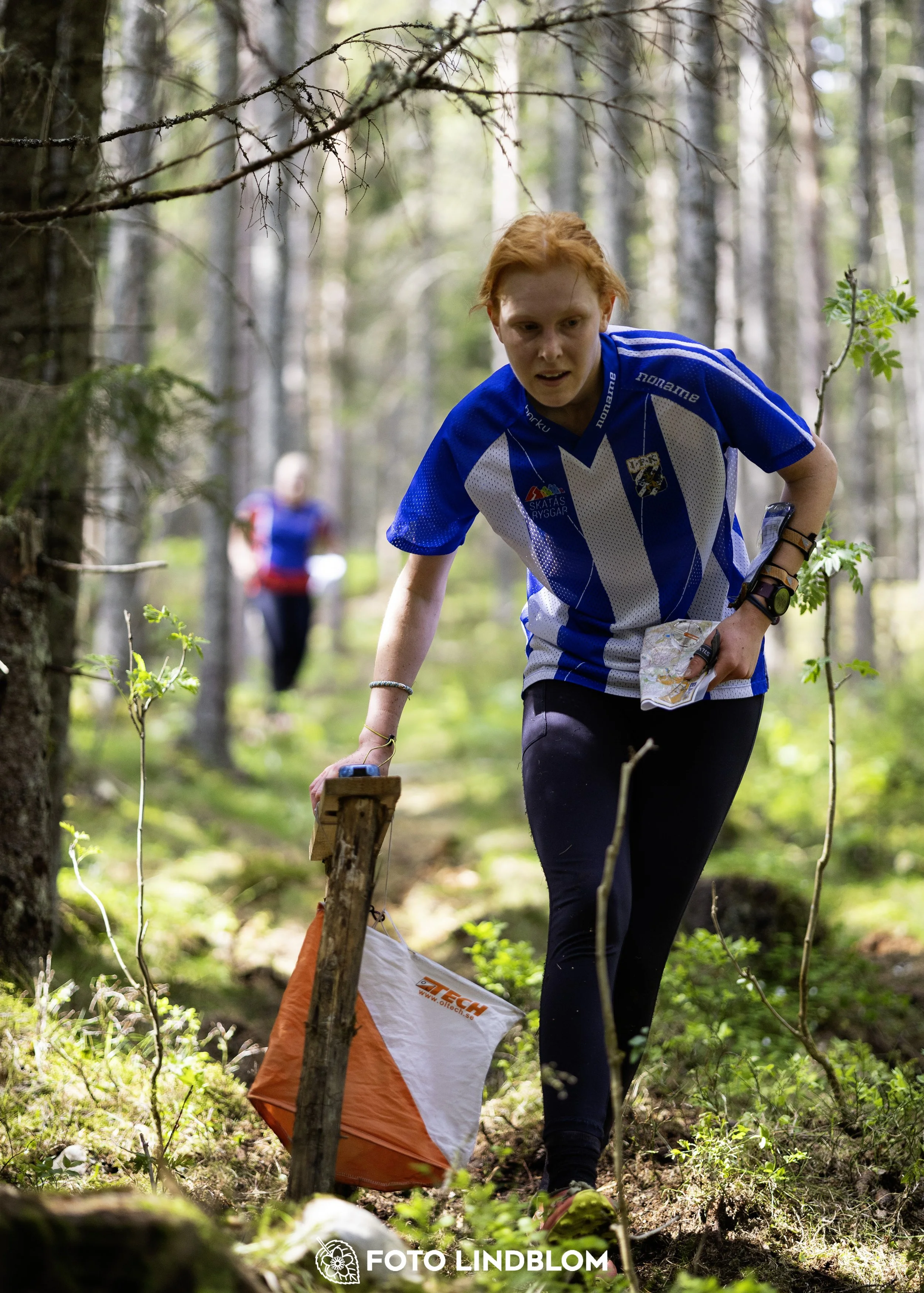 A picture from the seventh stage of the Swedish League orienteering competition