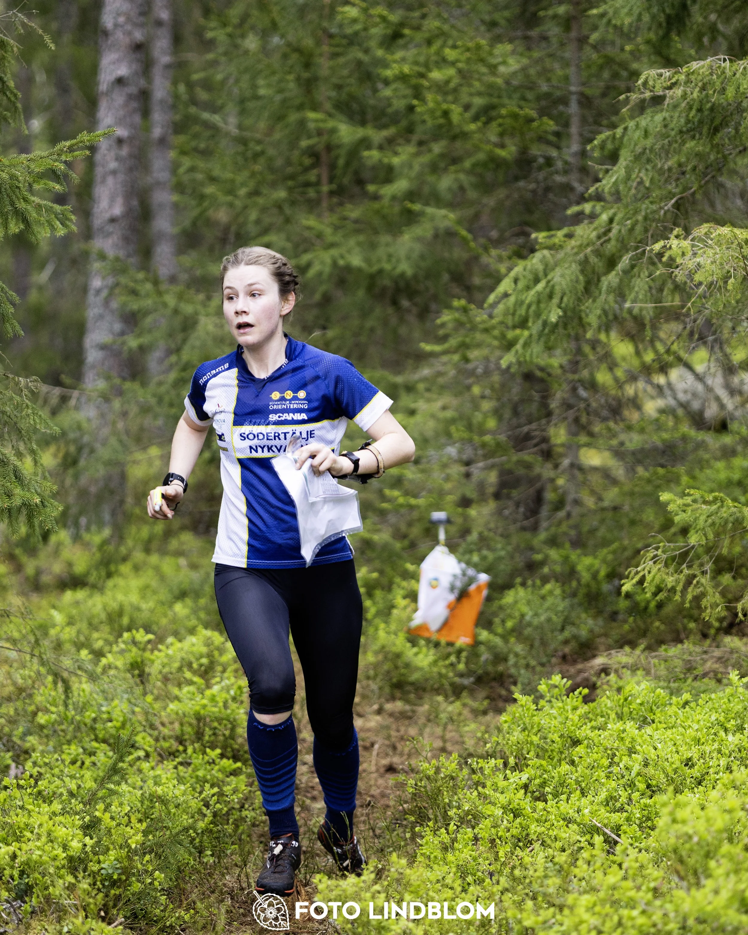 A picture from the Swedish national championship in middle distance orienteering and Swedish league race