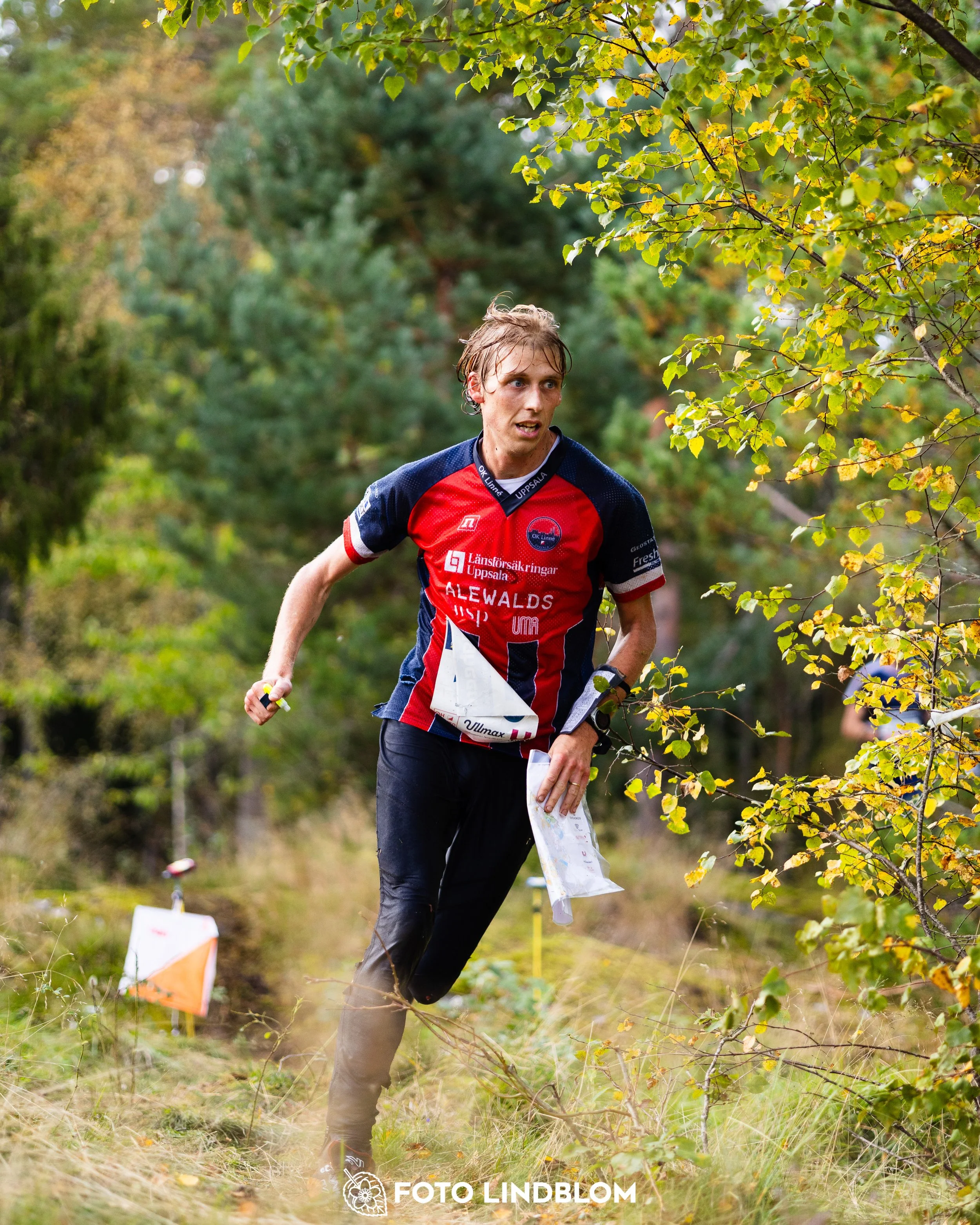 A picture from the Swedish national championship in long distance orienteering and Swedish league race taken by Foto Lindblom