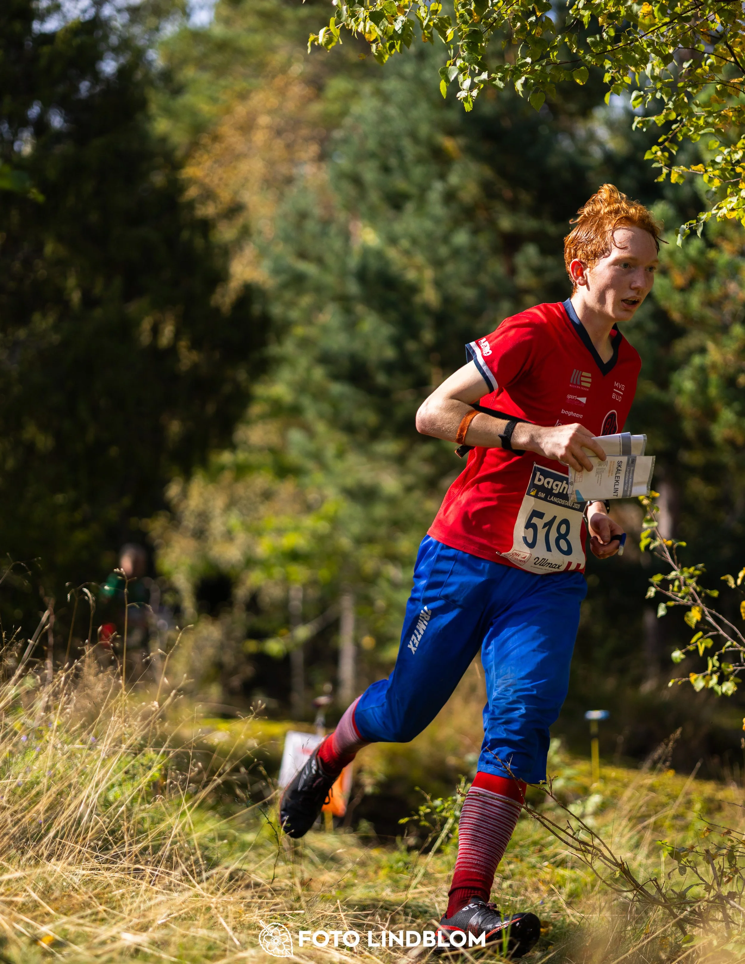 A picture from the Swedish national championship in long distance orienteering and Swedish league race taken by Foto Lindblom