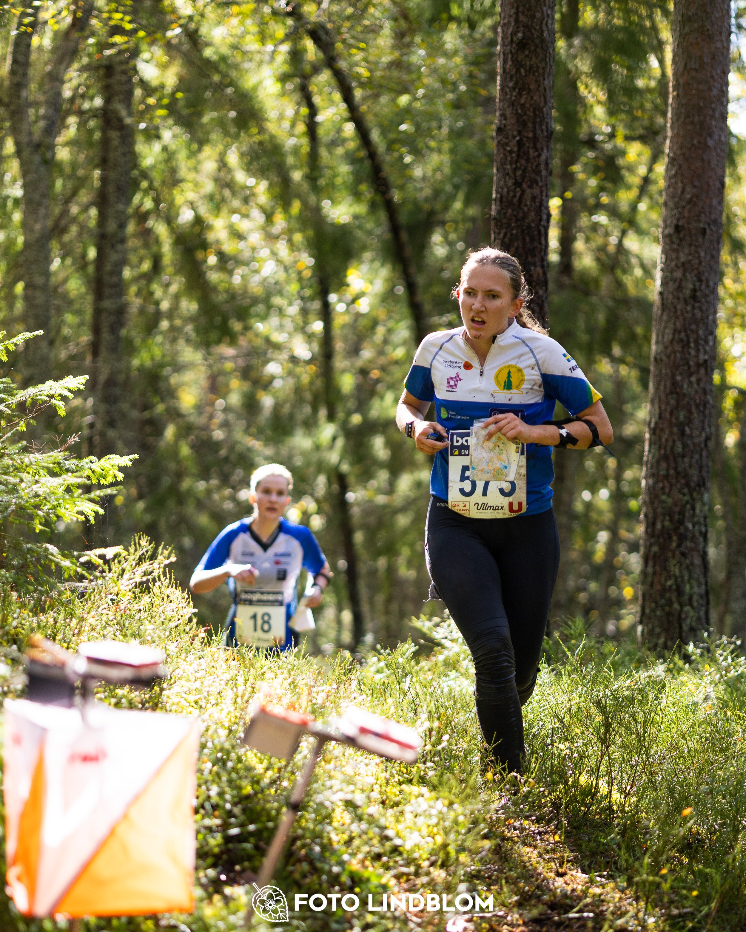 A picture from the Swedish national championship in long distance orienteering and Swedish league race taken by Foto Lindblom