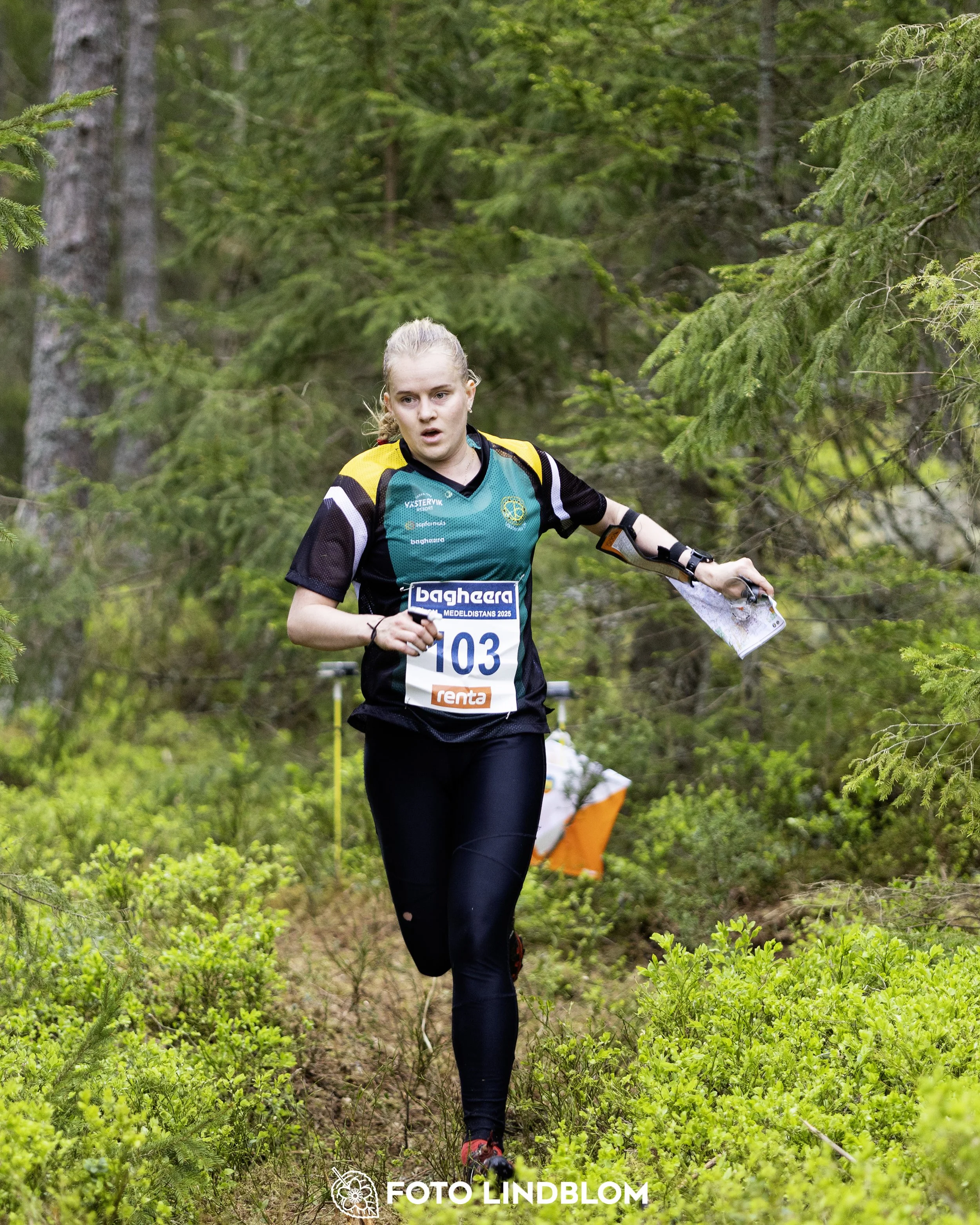 A picture from the Swedish national championship in middle distance orienteering and Swedish league race