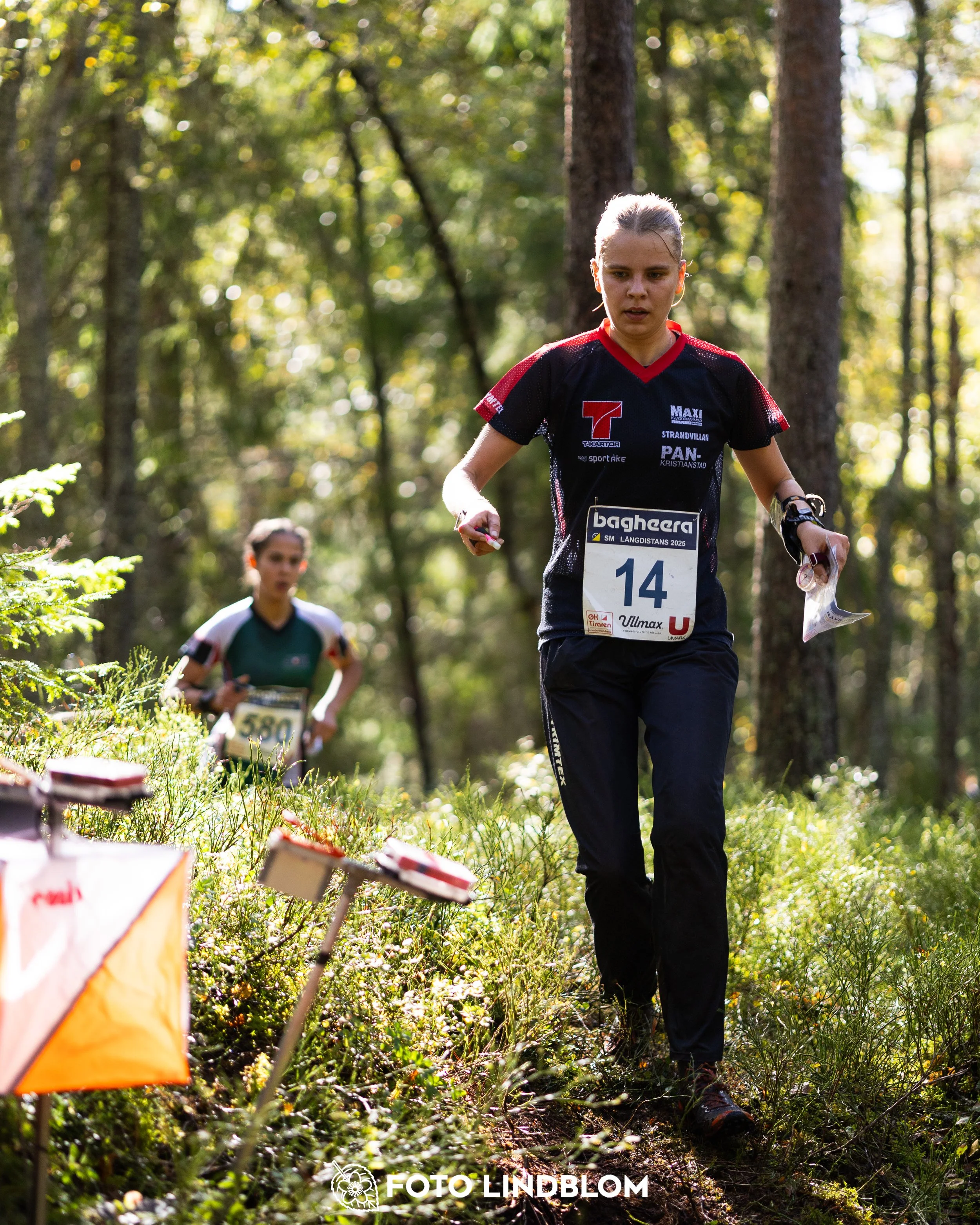 A picture from the Swedish national championship in long distance orienteering and Swedish league race taken by Foto Lindblom