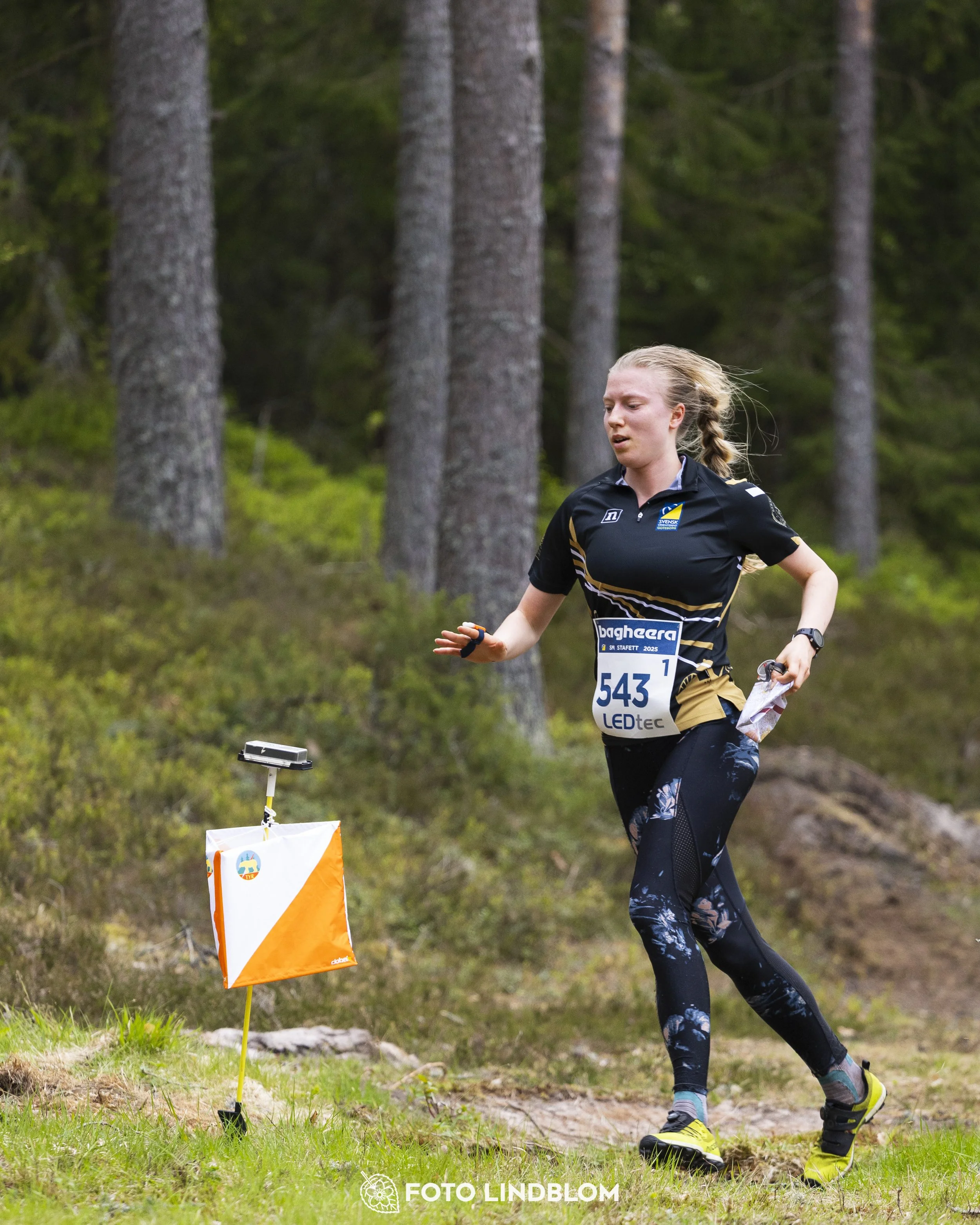 A picture from the Swedish national championship in relay orienteering