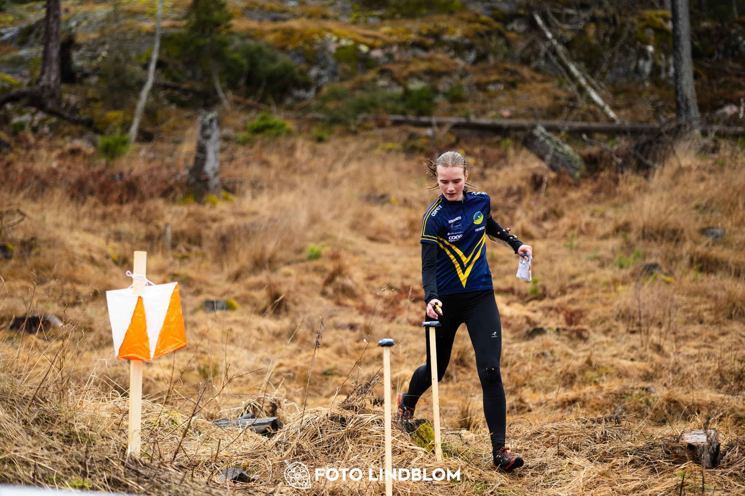 A moment from a middle distance orienteering race in Kolmården during the Swedish League 2026, captured by Foto Lindblom.