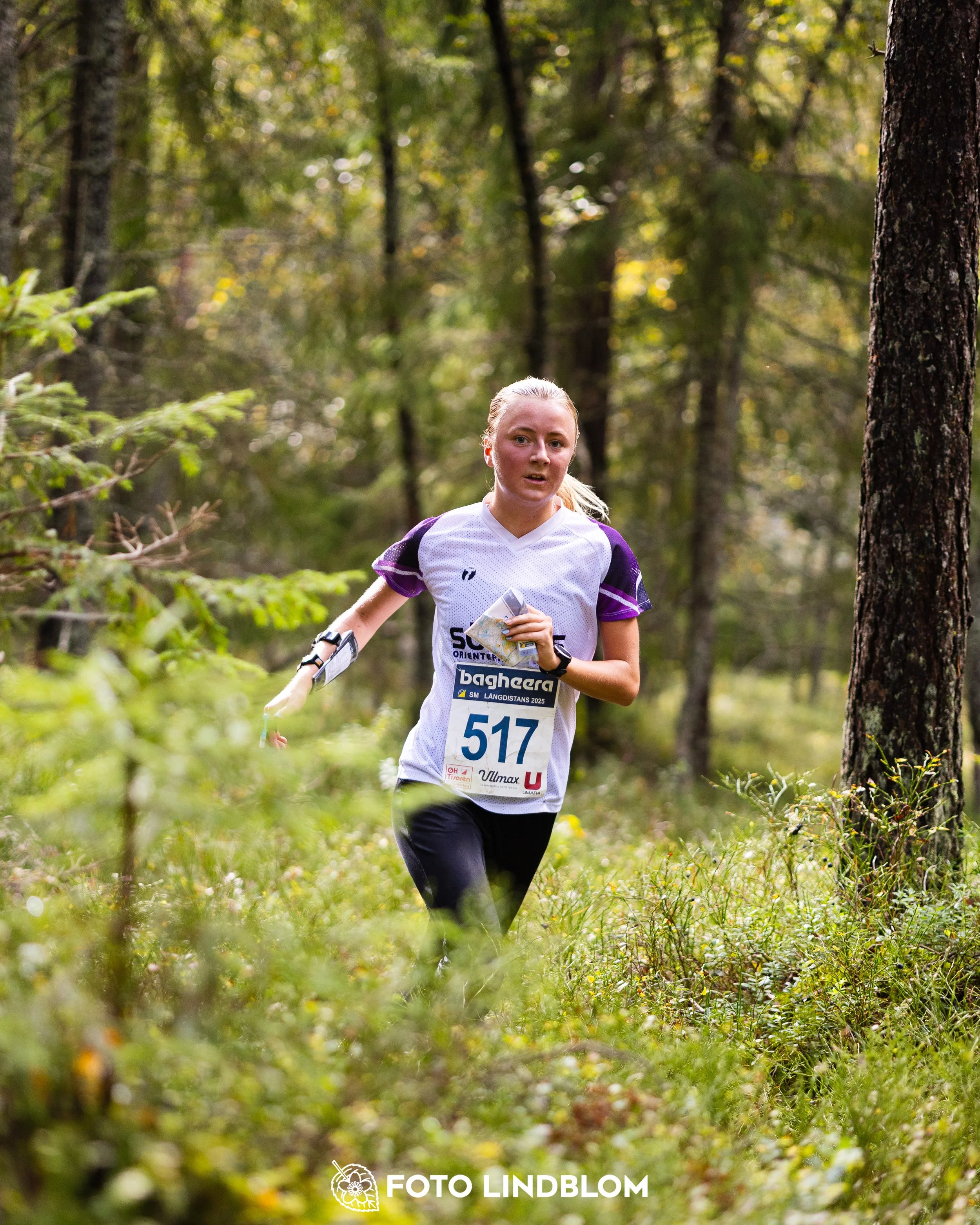 A picture from the Swedish national championship in long distance orienteering and Swedish league race taken by Foto Lindblom