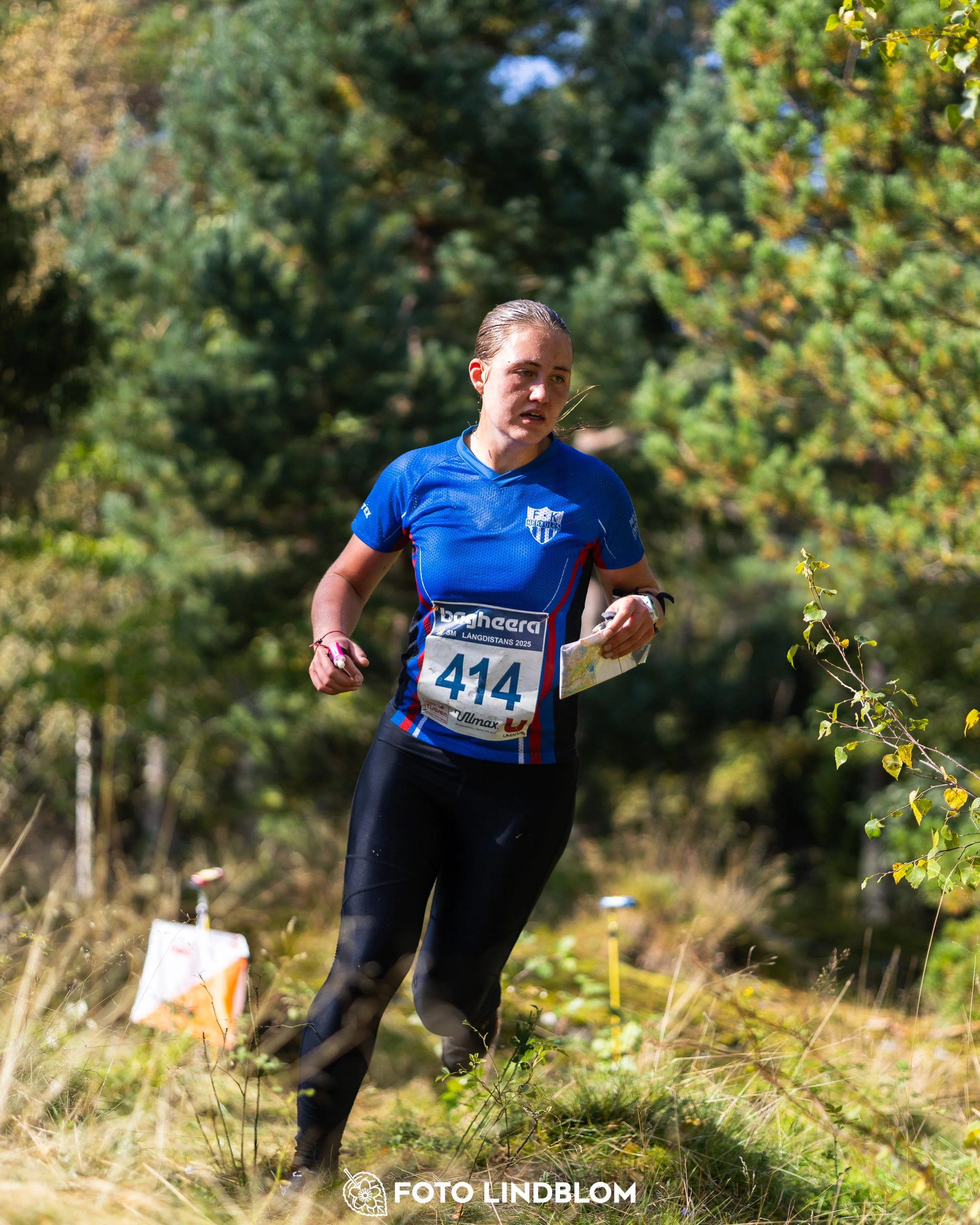 A picture from the Swedish national championship in long distance orienteering and Swedish league race taken by Foto Lindblom