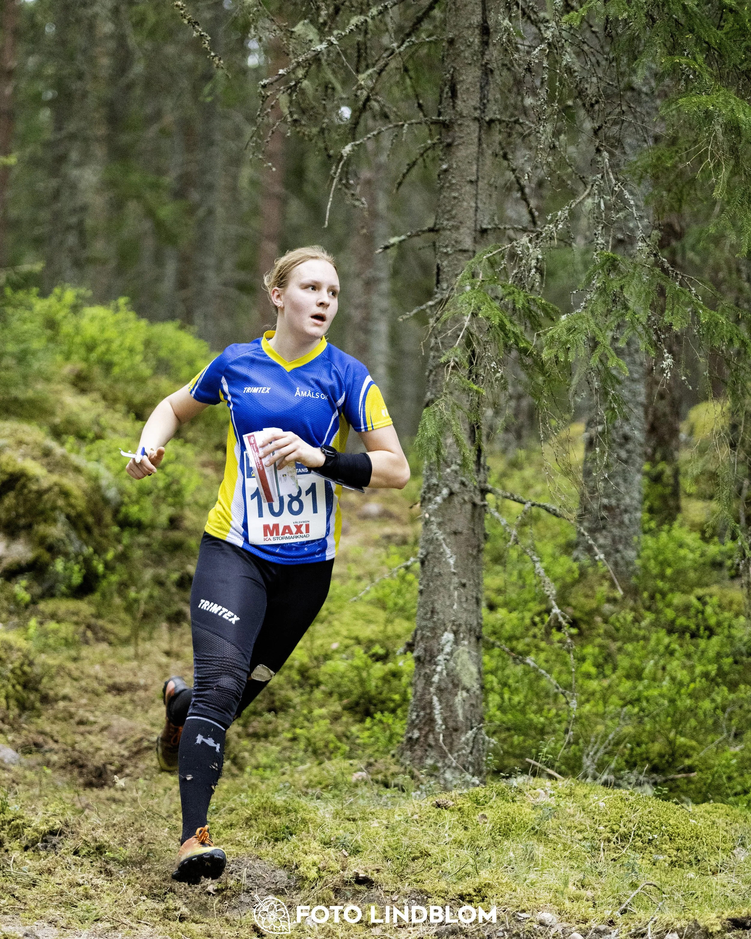 A picture from the Swedish national championship in middle distance orienteering and Swedish league race
