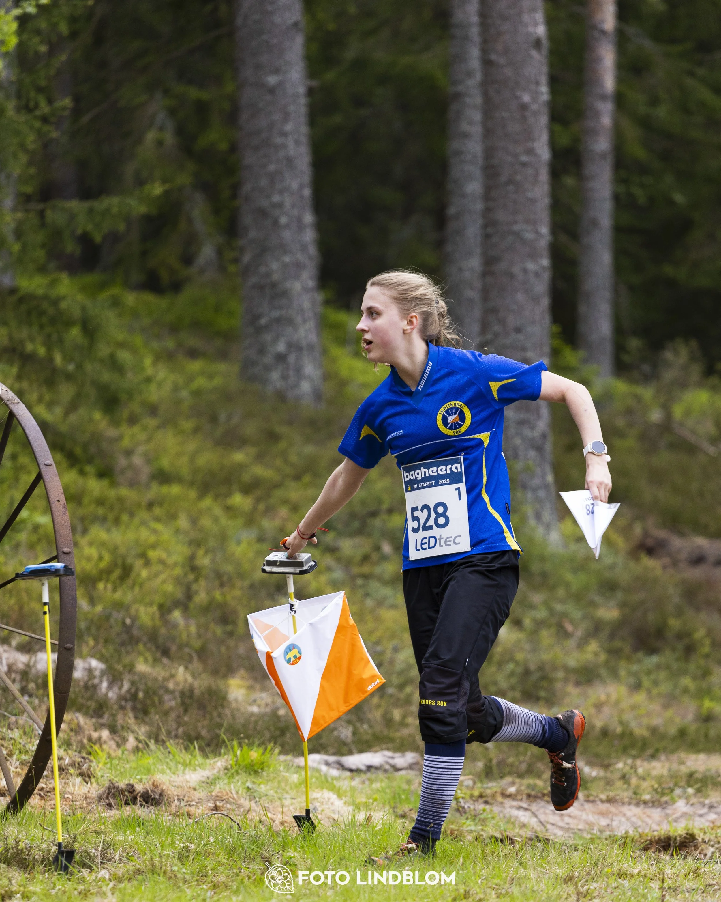 A picture from the Swedish national championship in relay orienteering