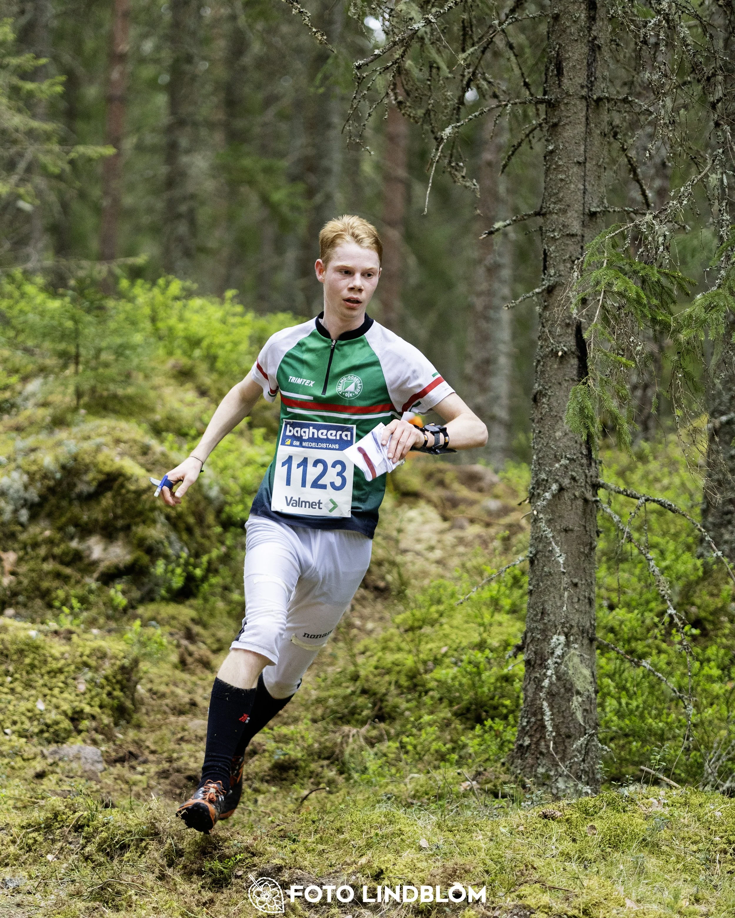 A picture from the Swedish national championship in middle distance orienteering and Swedish league race