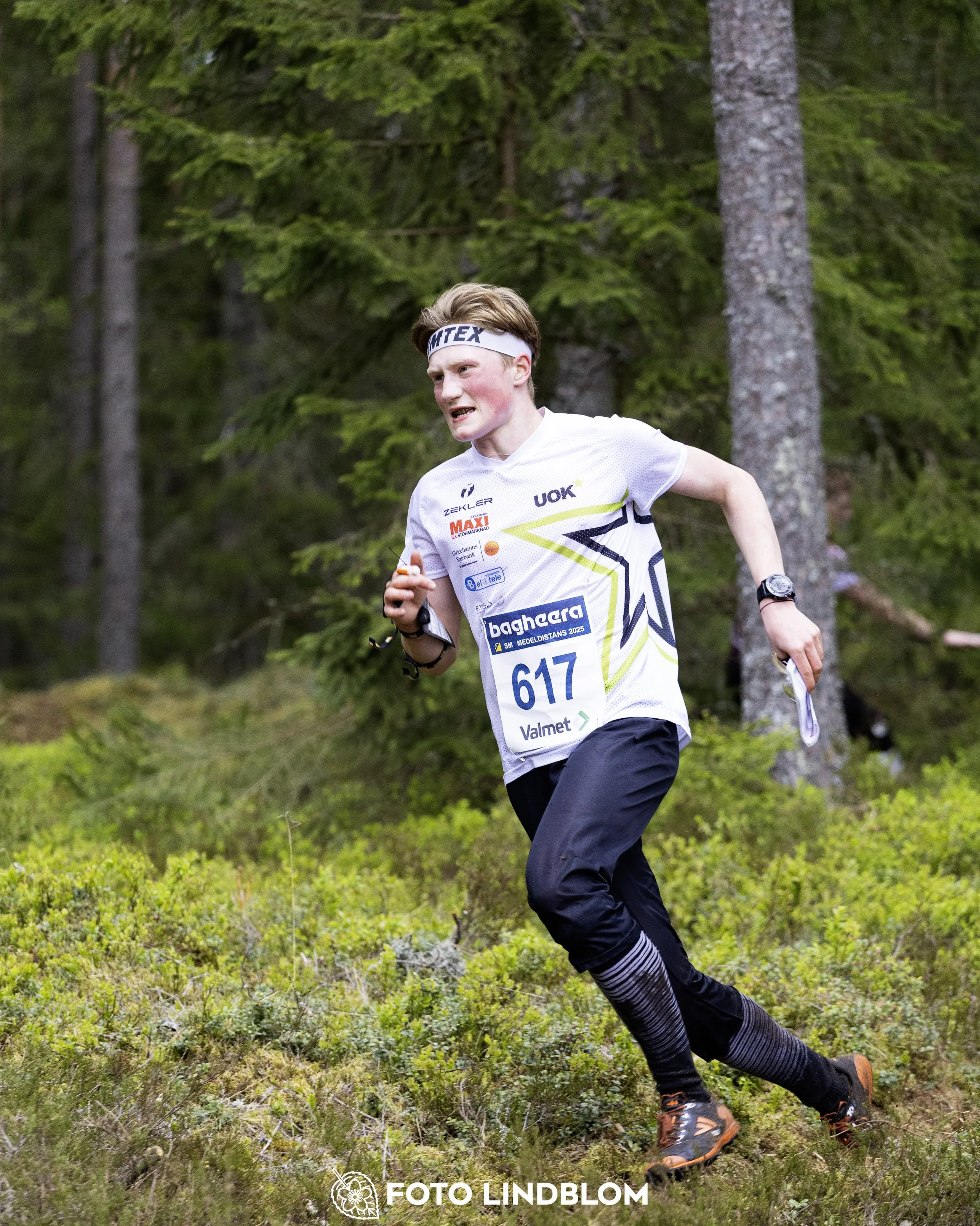 A picture from the Swedish national championship in middle distance orienteering and Swedish league race
