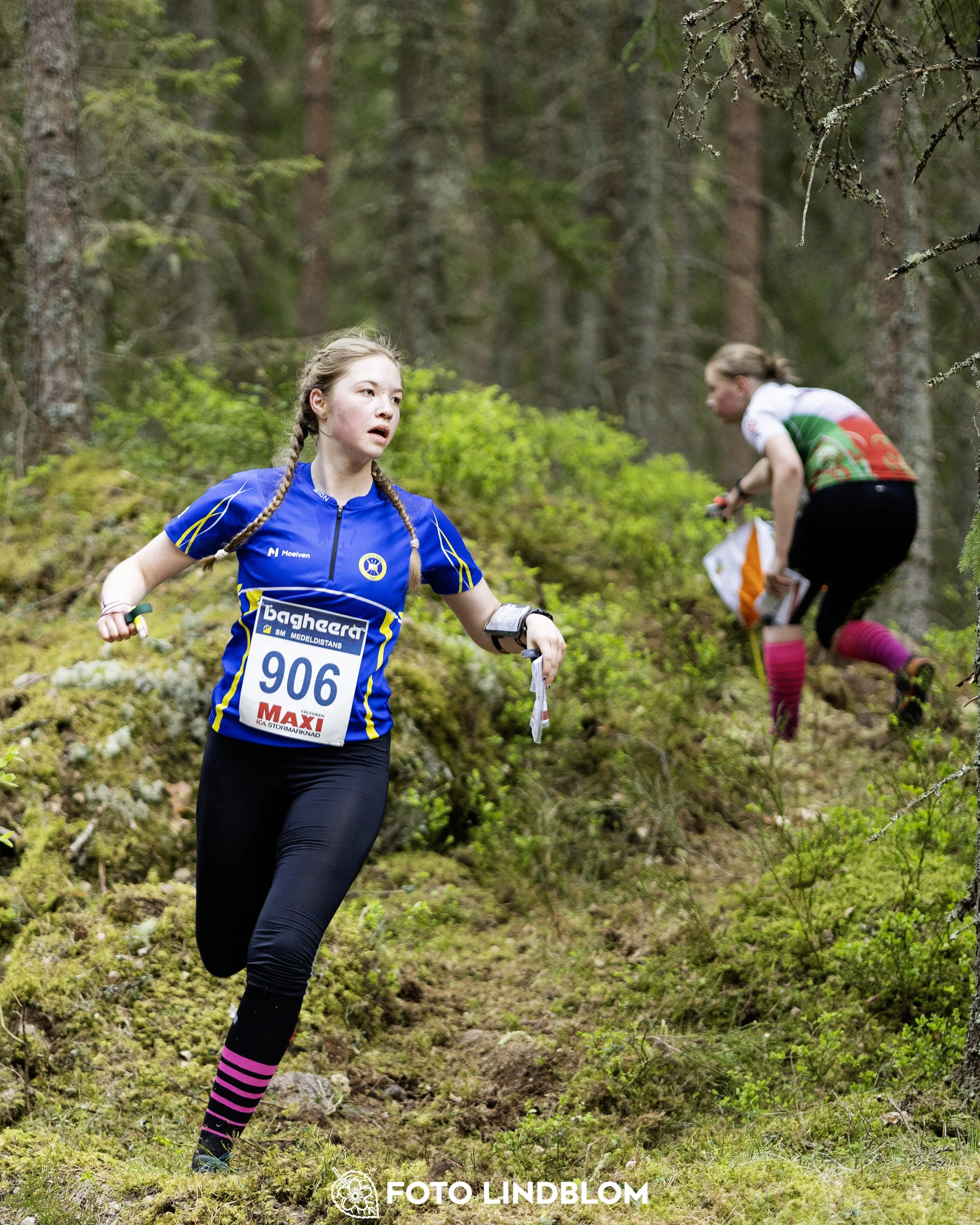 A picture from the Swedish national championship in middle distance orienteering and Swedish league race