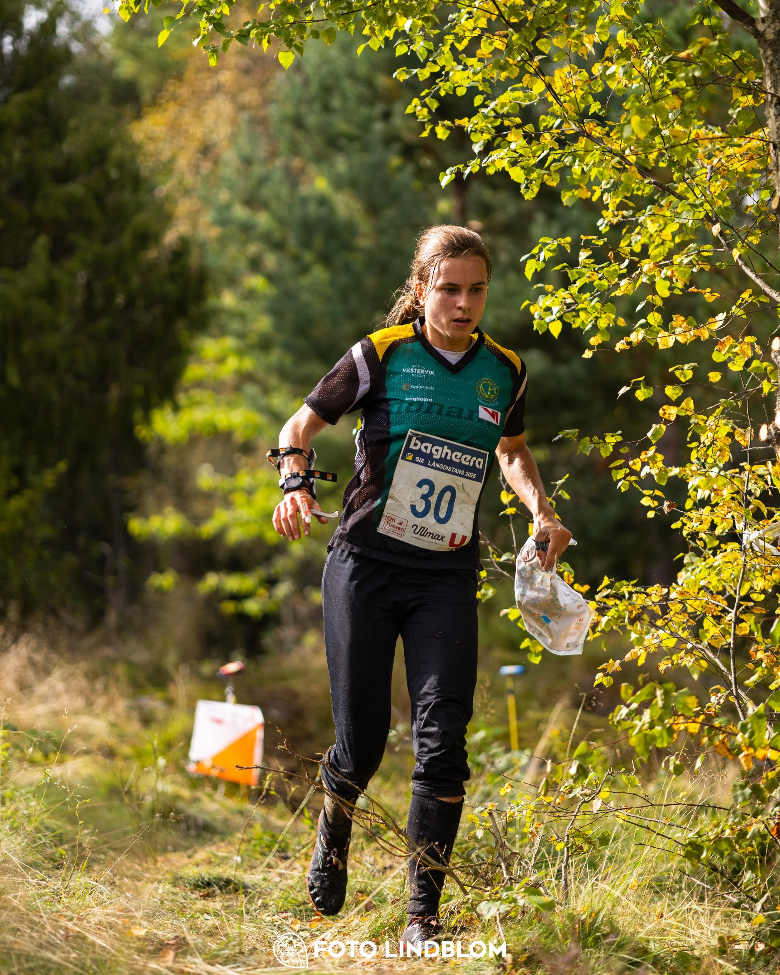 A picture from the Swedish national championship in long distance orienteering and Swedish league race taken by Foto Lindblom