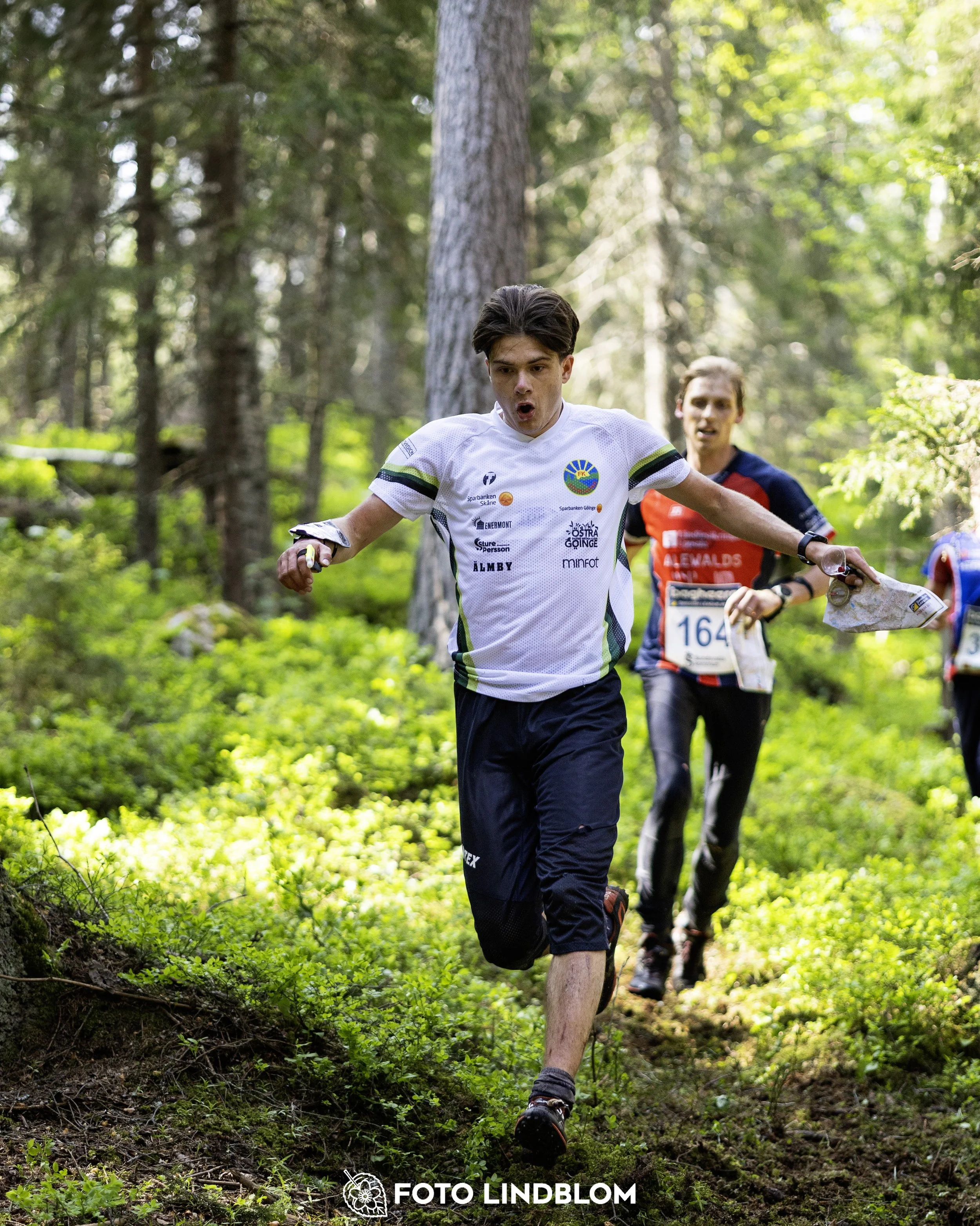 A picture from the seventh stage of the Swedish League orienteering competition