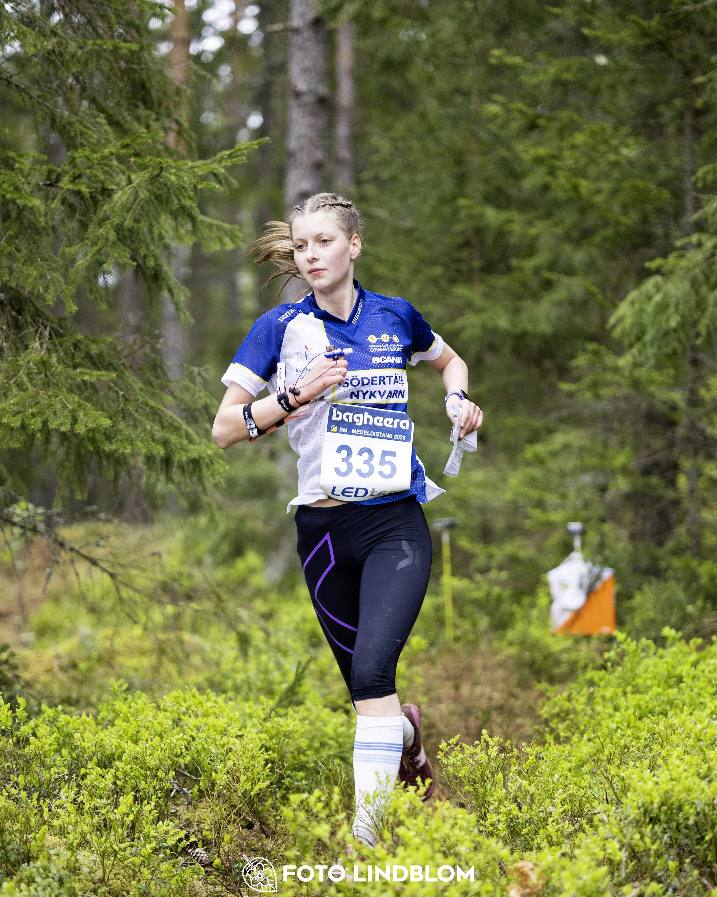 A picture from the Swedish national championship in middle distance orienteering and Swedish league race