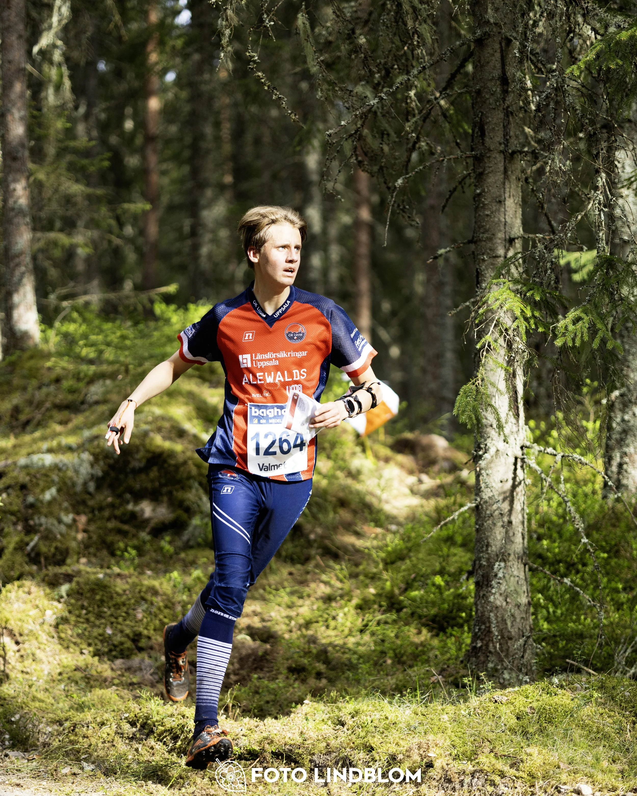 A picture from the Swedish national championship in middle distance orienteering and Swedish league race