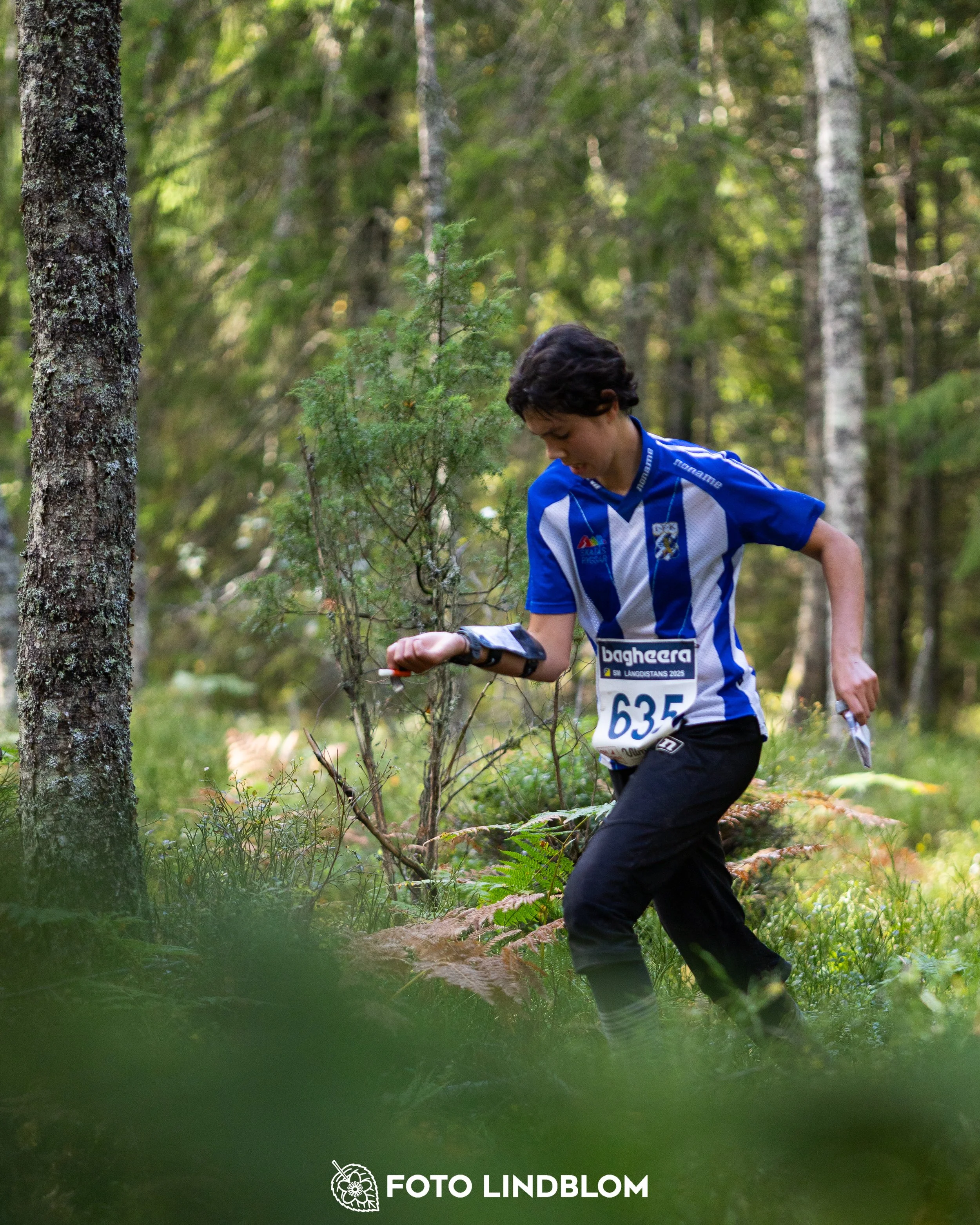 A picture from the Swedish national championship in long distance orienteering and Swedish league race taken by Foto Lindblom