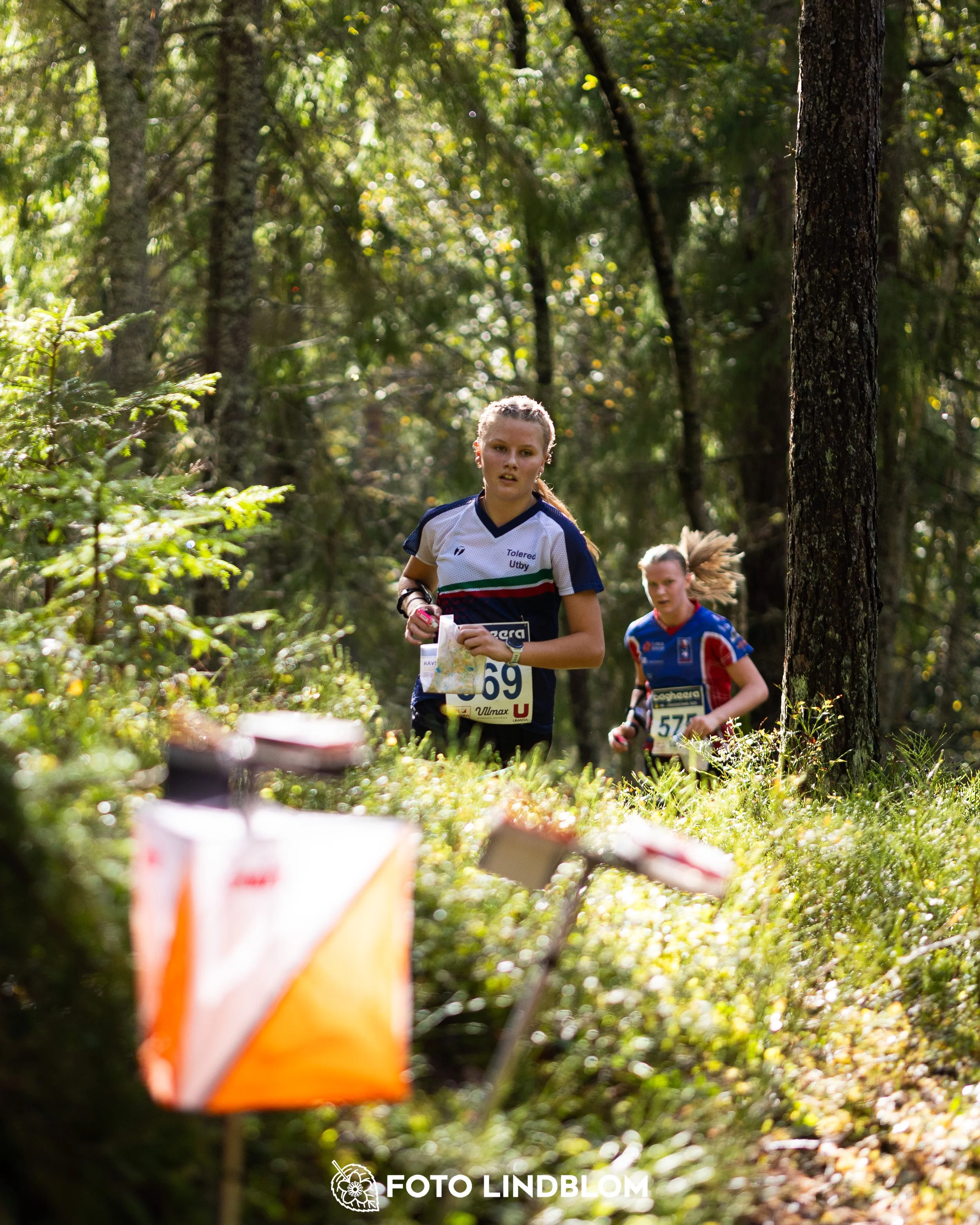 A picture from the Swedish national championship in long distance orienteering and Swedish league race taken by Foto Lindblom