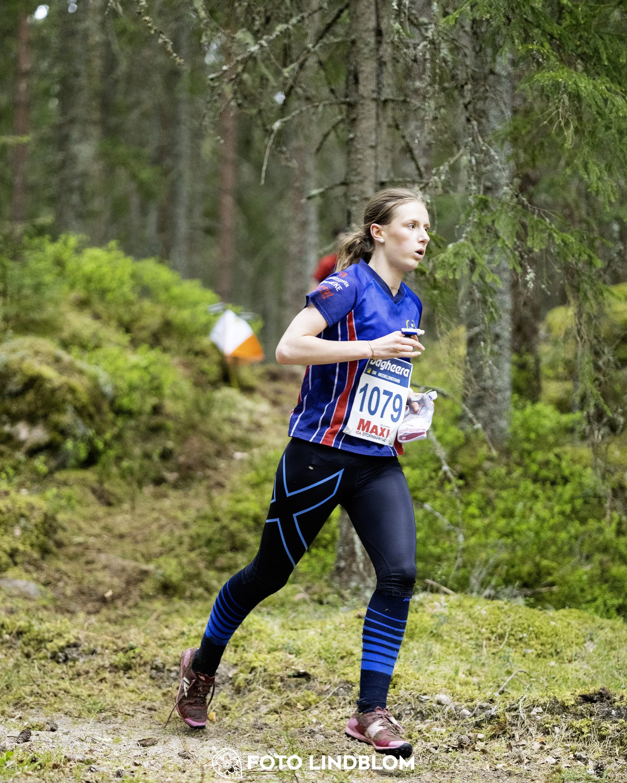 A picture from the Swedish national championship in middle distance orienteering and Swedish league race