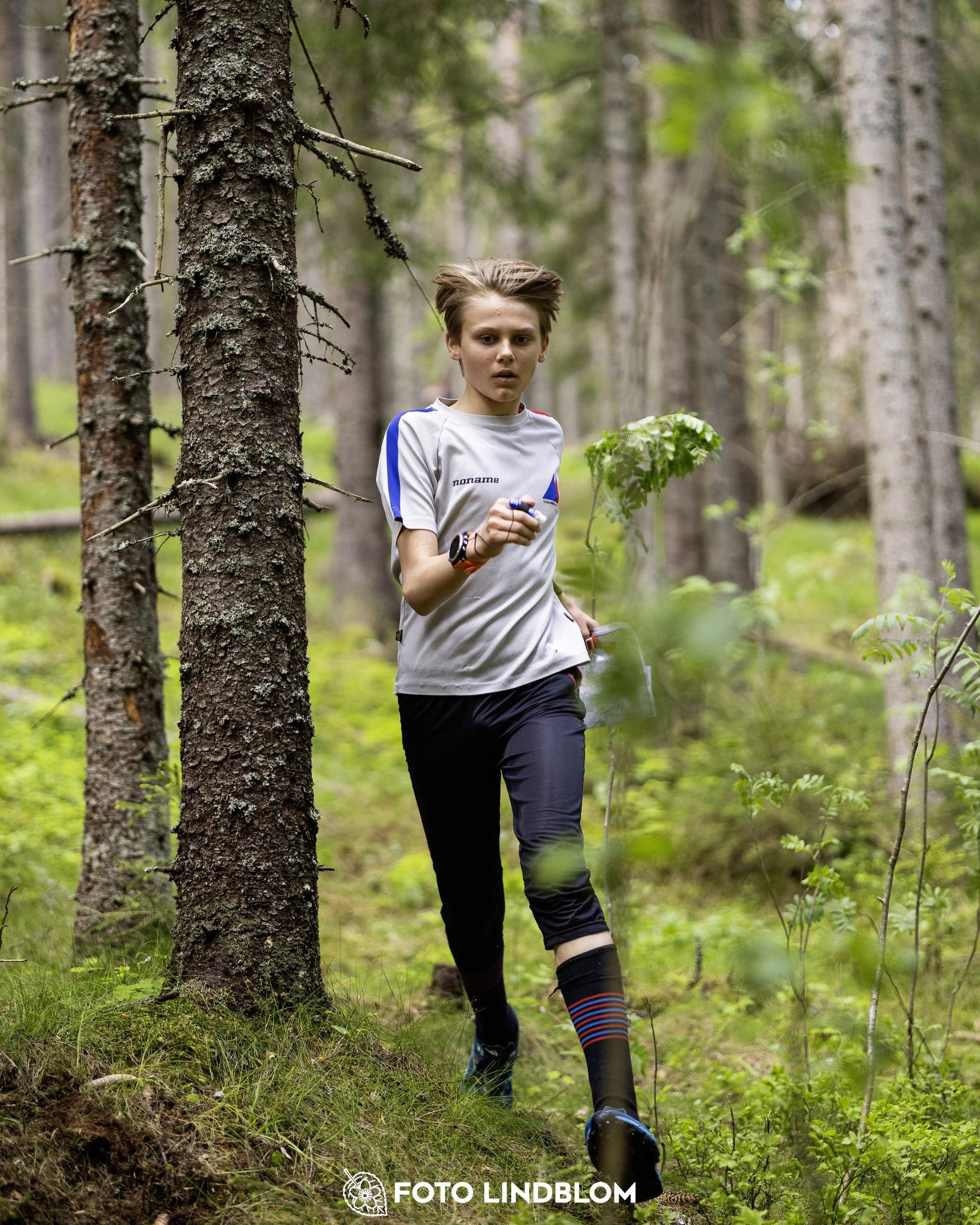A picture from the seventh stage of the Swedish League orienteering competition