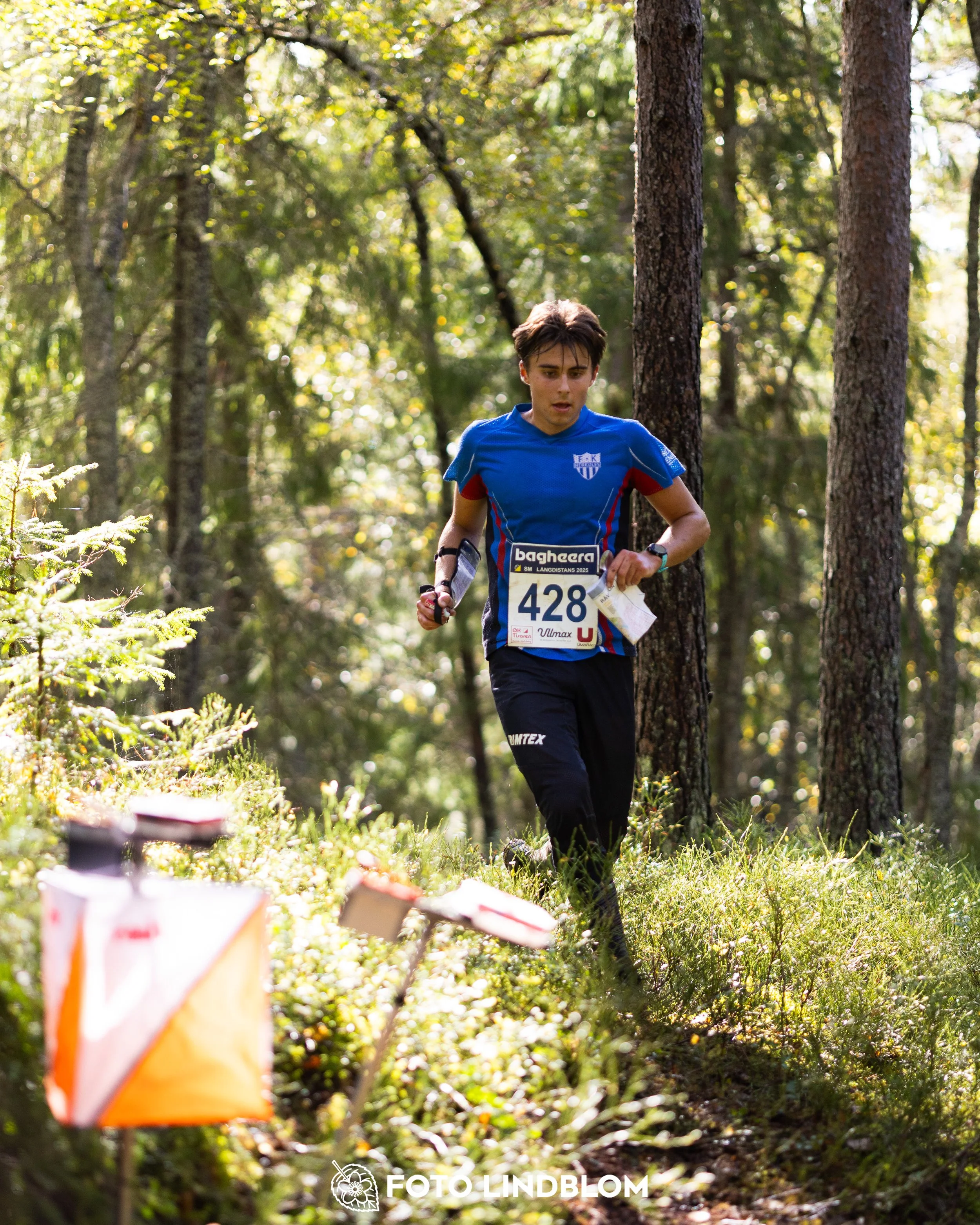 A picture from the Swedish national championship in long distance orienteering and Swedish league race taken by Foto Lindblom