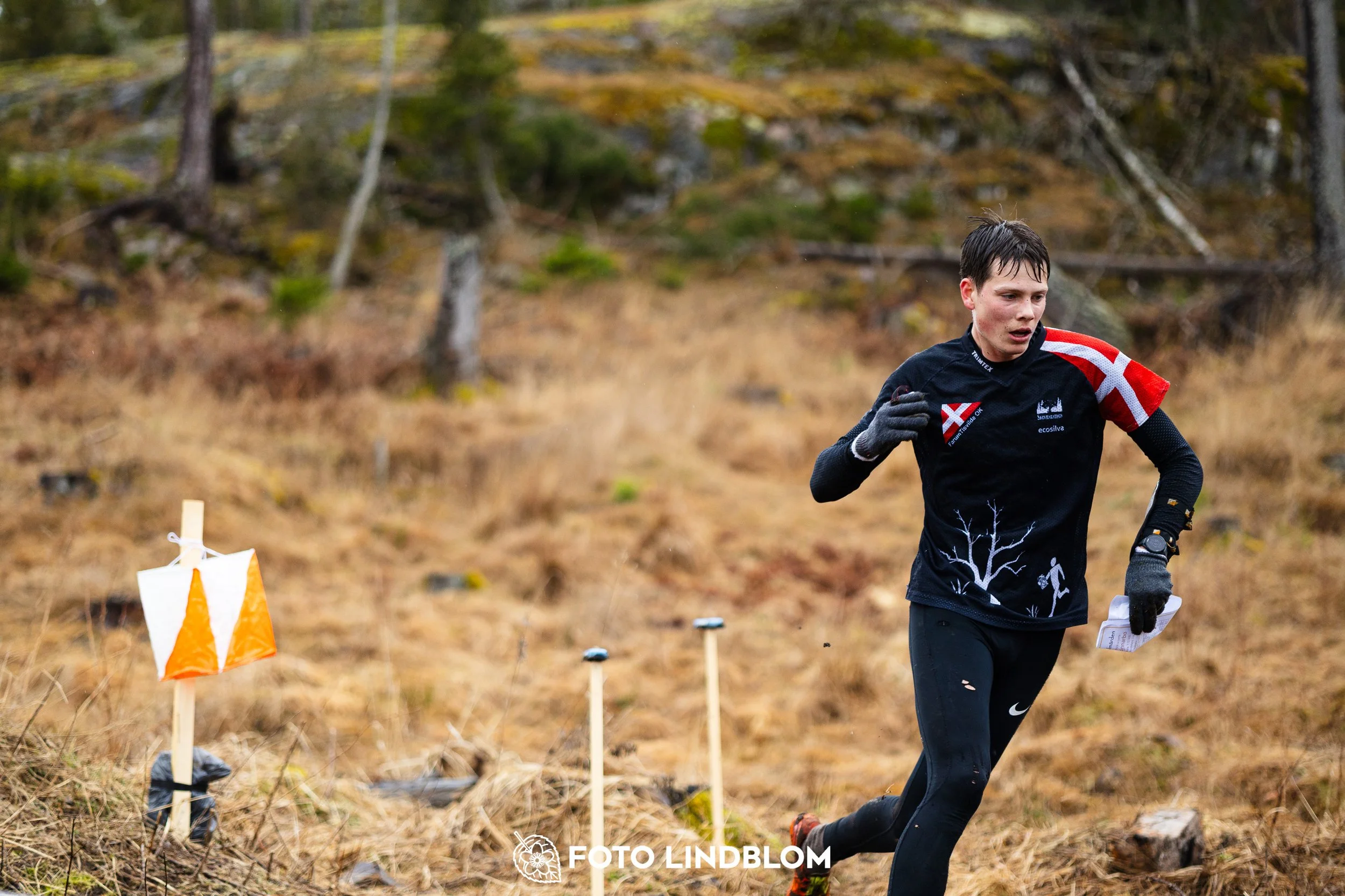 A photo from a forest orienteering competition in Kolmården as part of the Swedish League 2026 season, captured by Foto Lindblom.