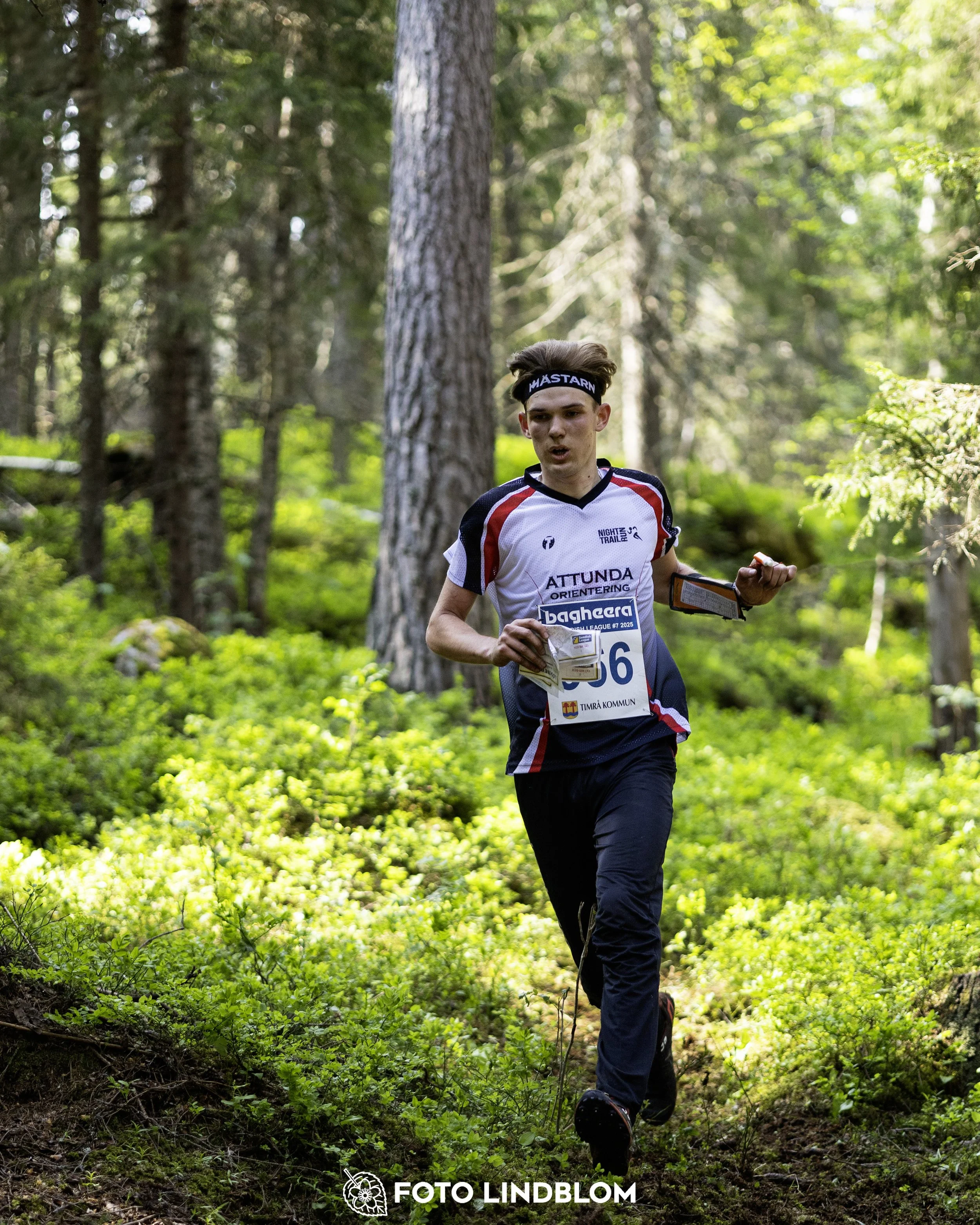 A picture from the seventh stage of the Swedish League orienteering competition