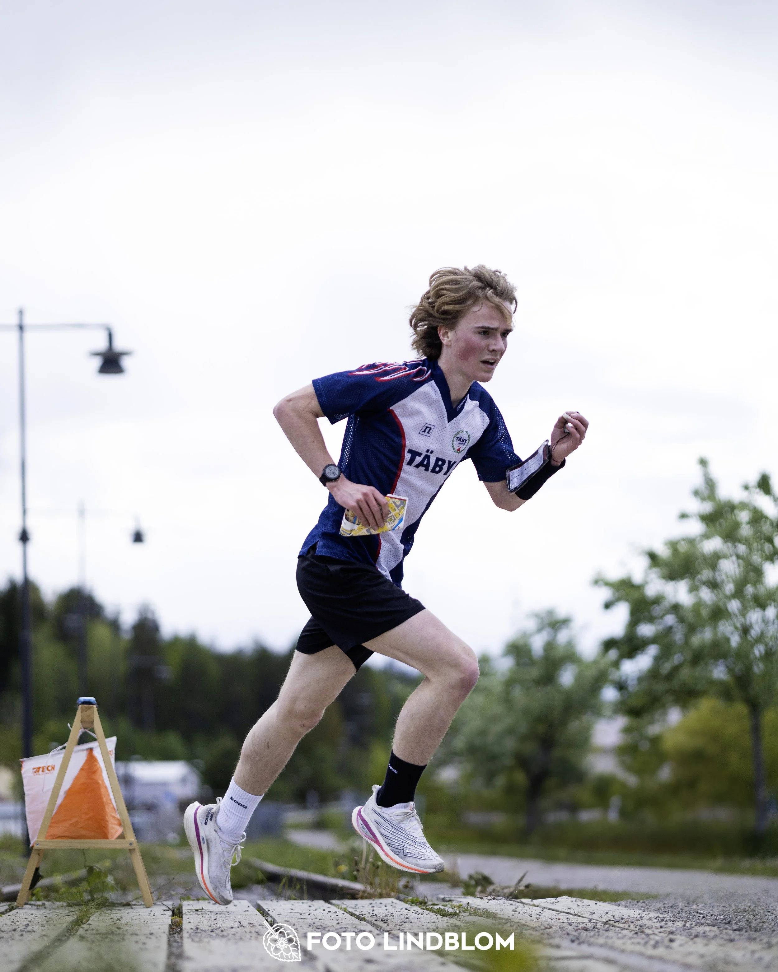 A picture from the fifth stage of the Swedish League orienteering competition