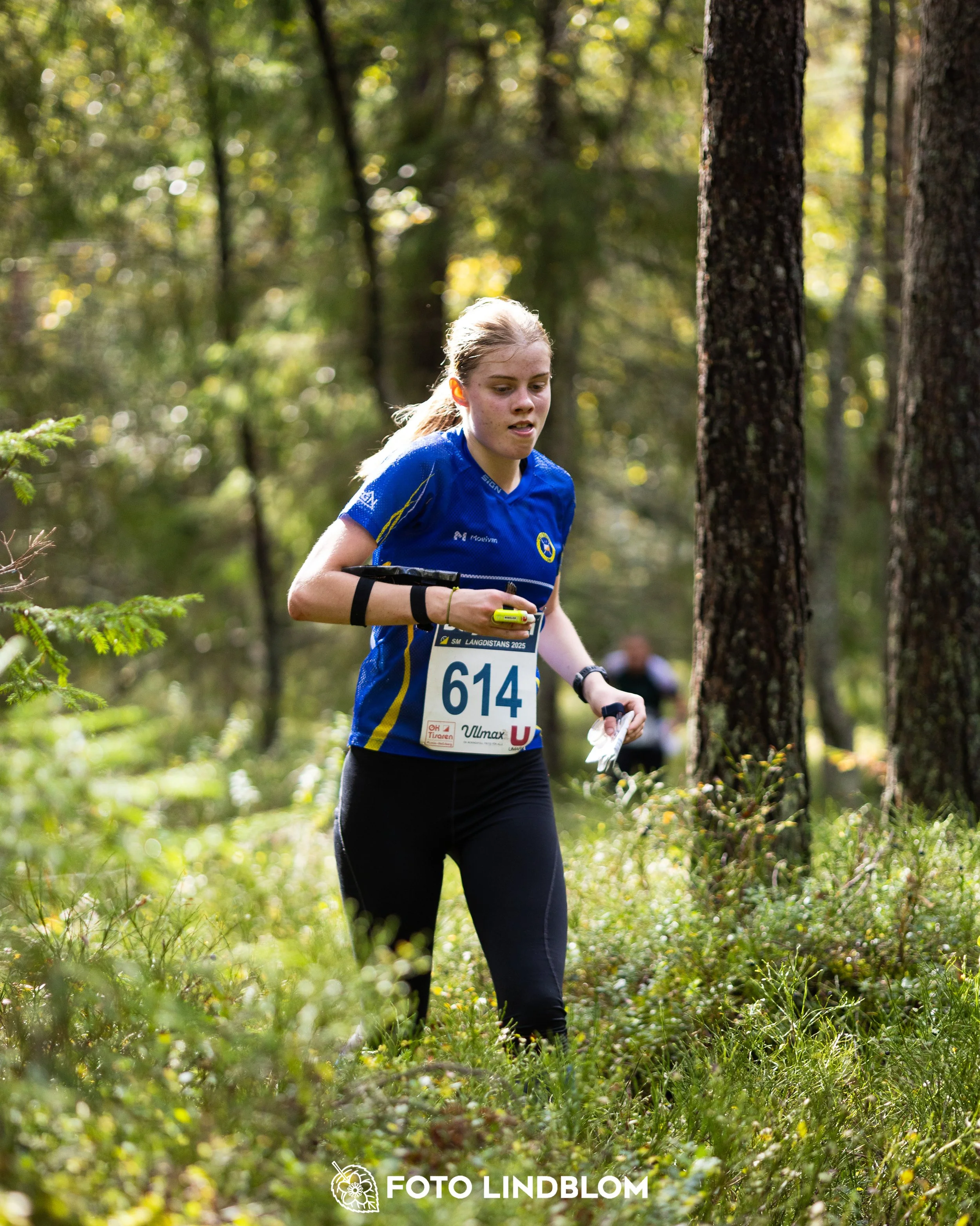 A picture from the Swedish national championship in long distance orienteering and Swedish league race taken by Foto Lindblom