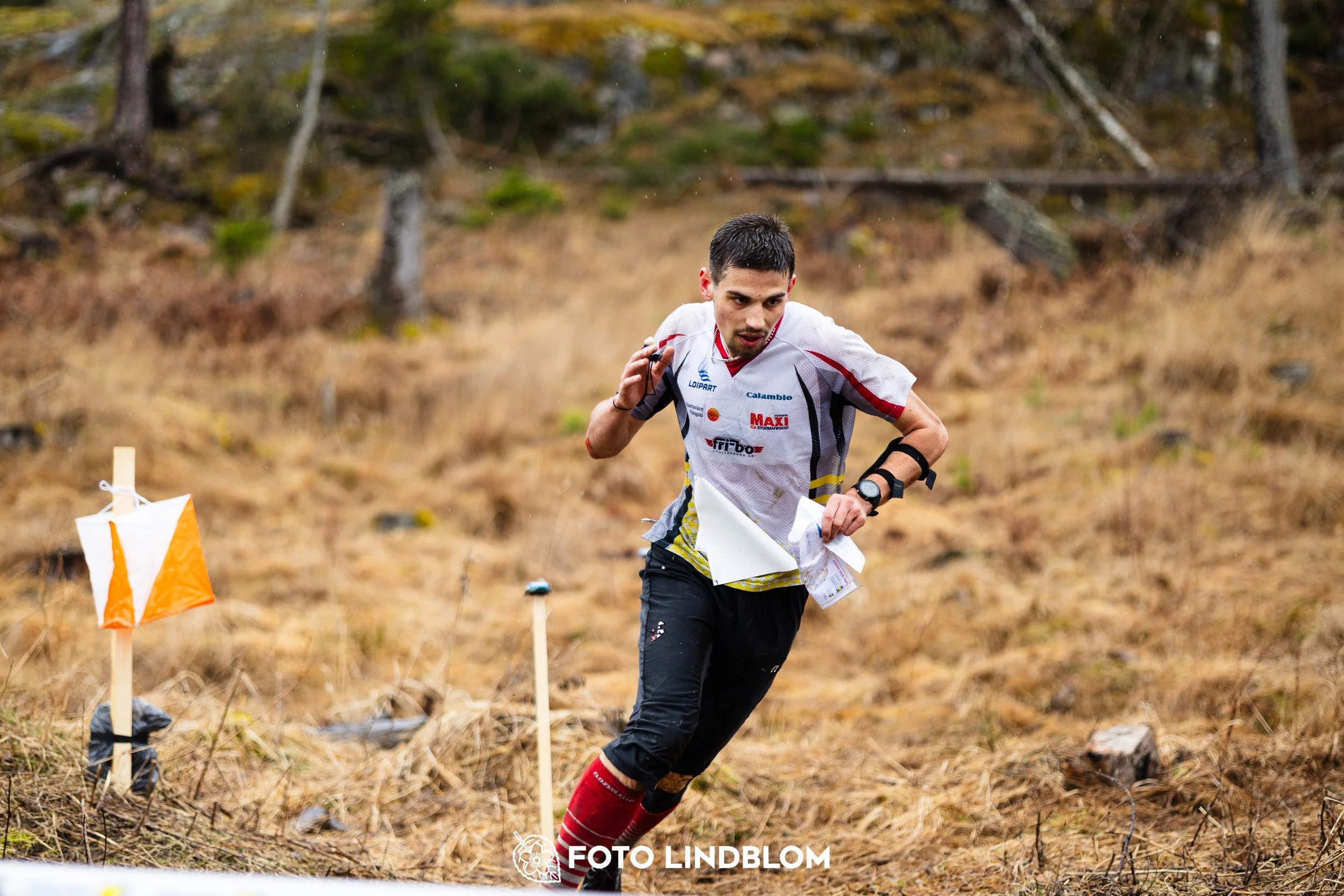 A scene from the Swedish League middle distance event in Kolmården spring 2026, captured by Foto Lindblom.
