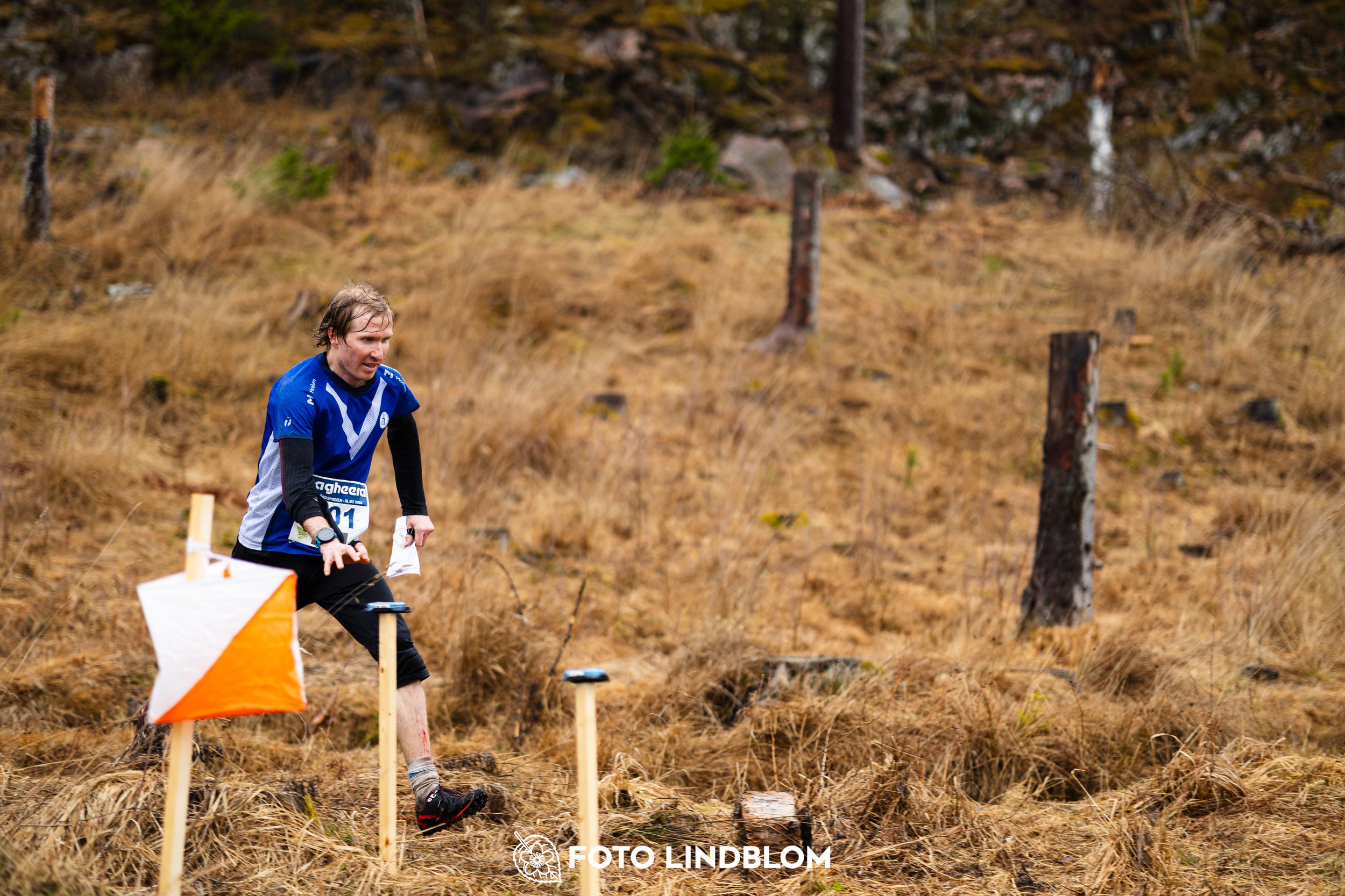 A photo from a forest orienteering competition in Kolmården as part of the Swedish League 2026 season, captured by Foto Lindblom.