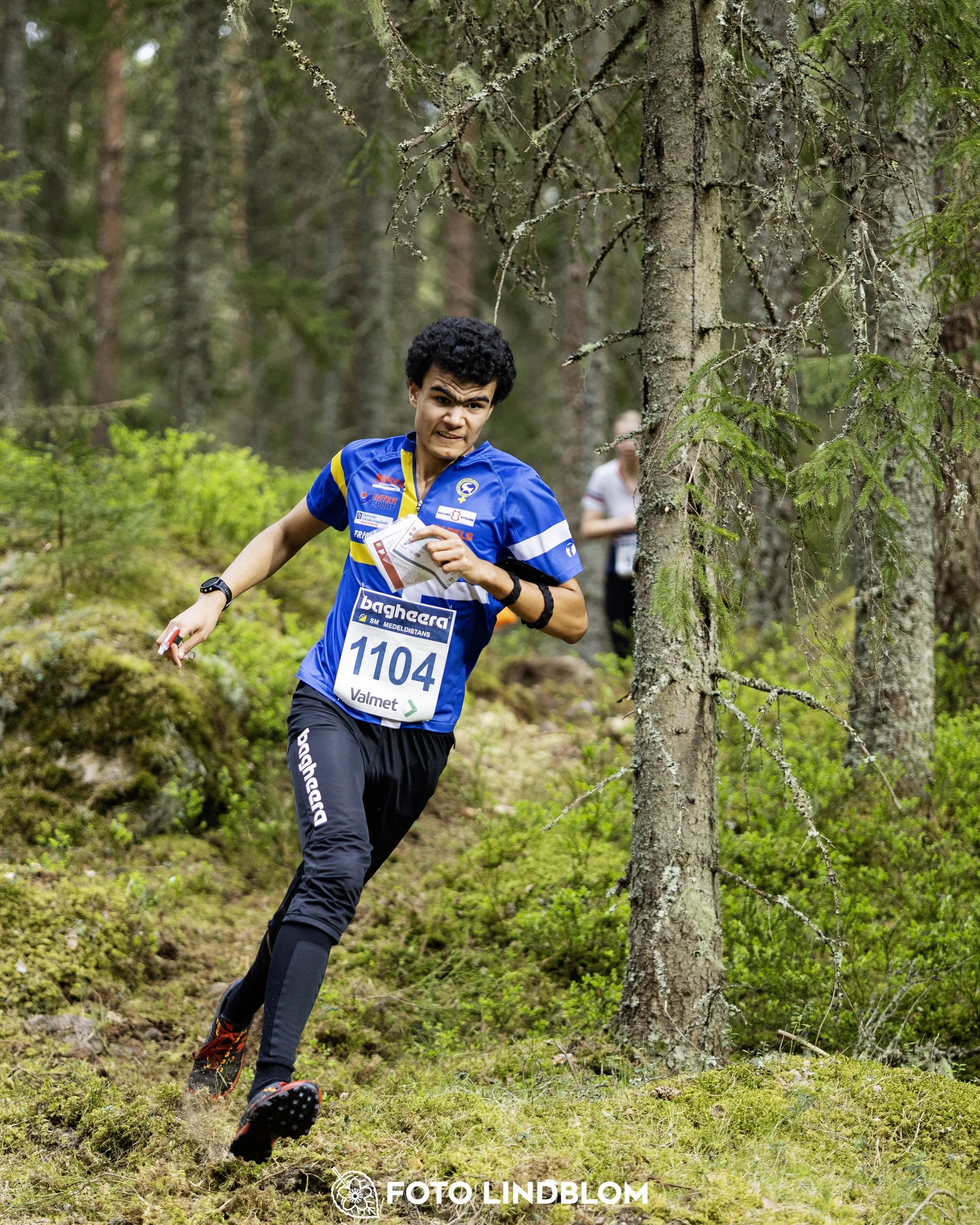 A picture from the Swedish national championship in middle distance orienteering and Swedish league race