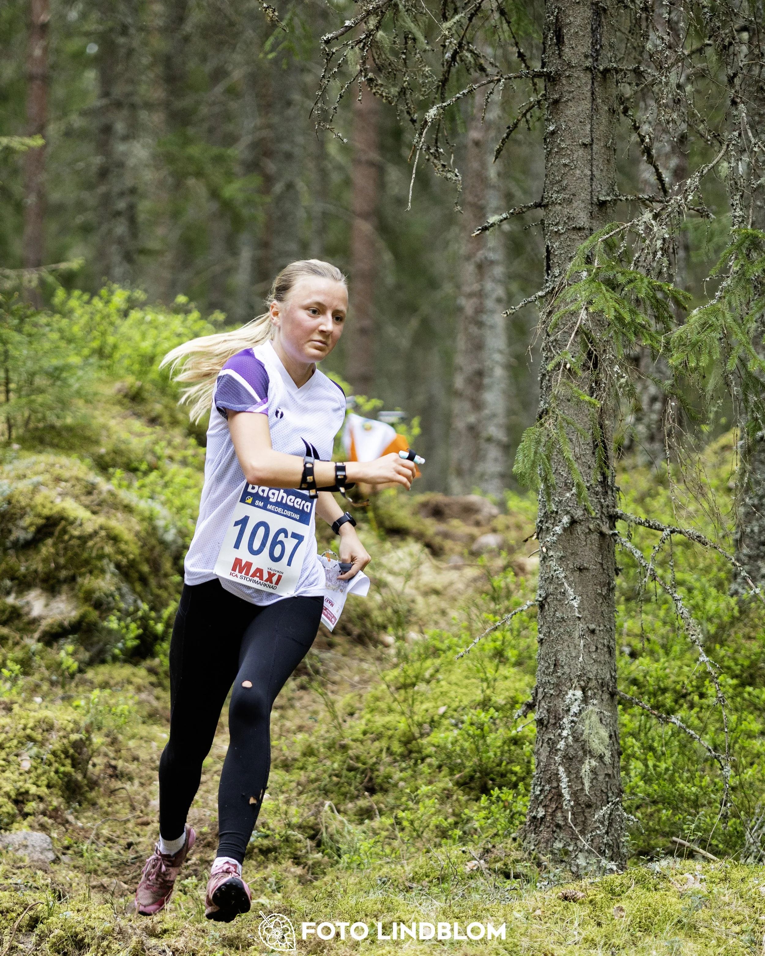 A picture from the Swedish national championship in middle distance orienteering and Swedish league race