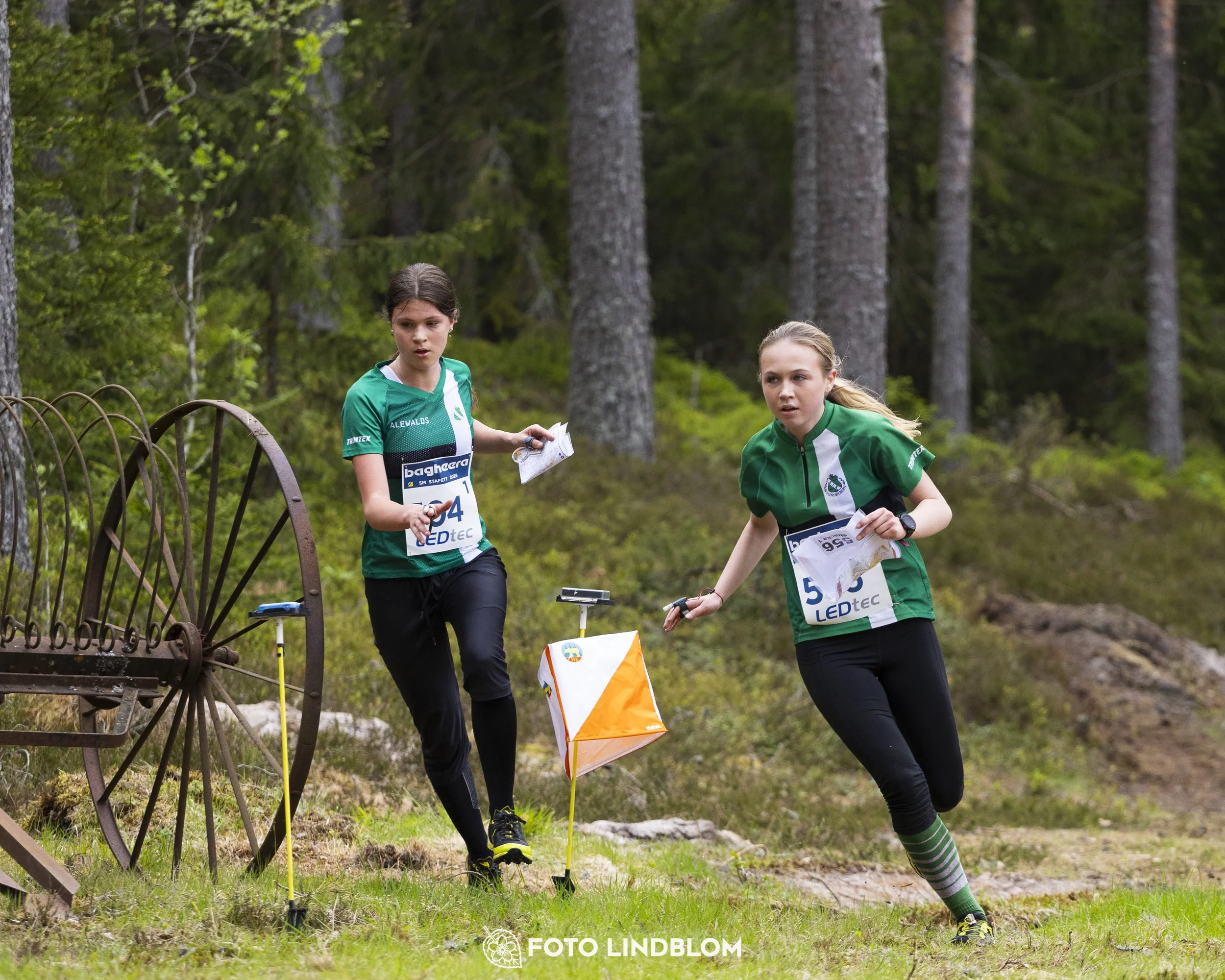 A picture from the Swedish national championship in relay orienteering