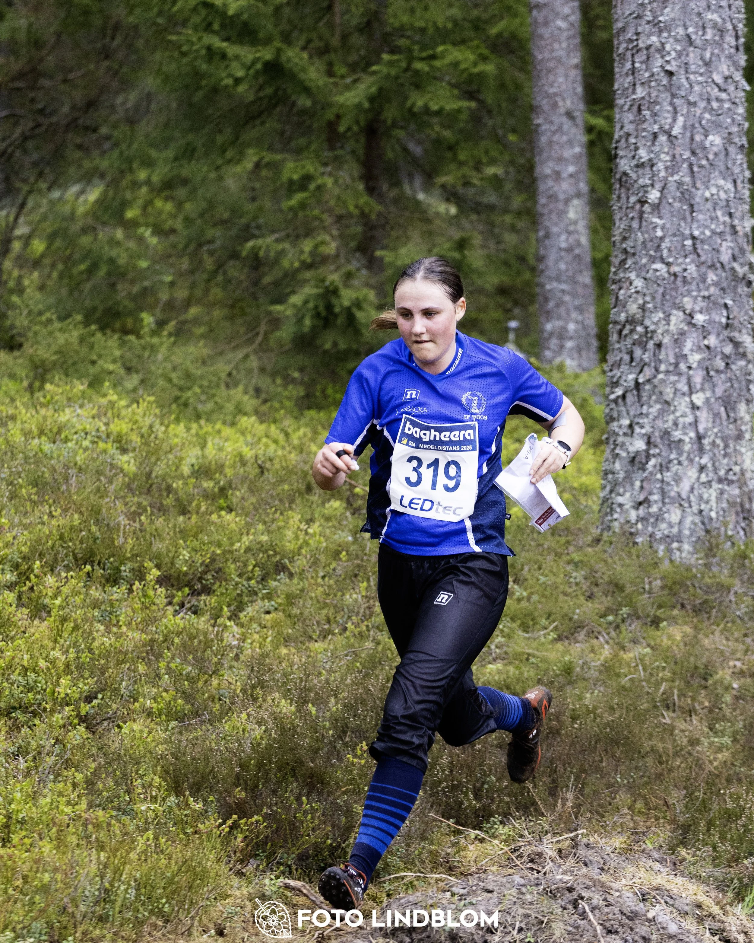 A picture from the Swedish national championship in middle distance orienteering and Swedish league race