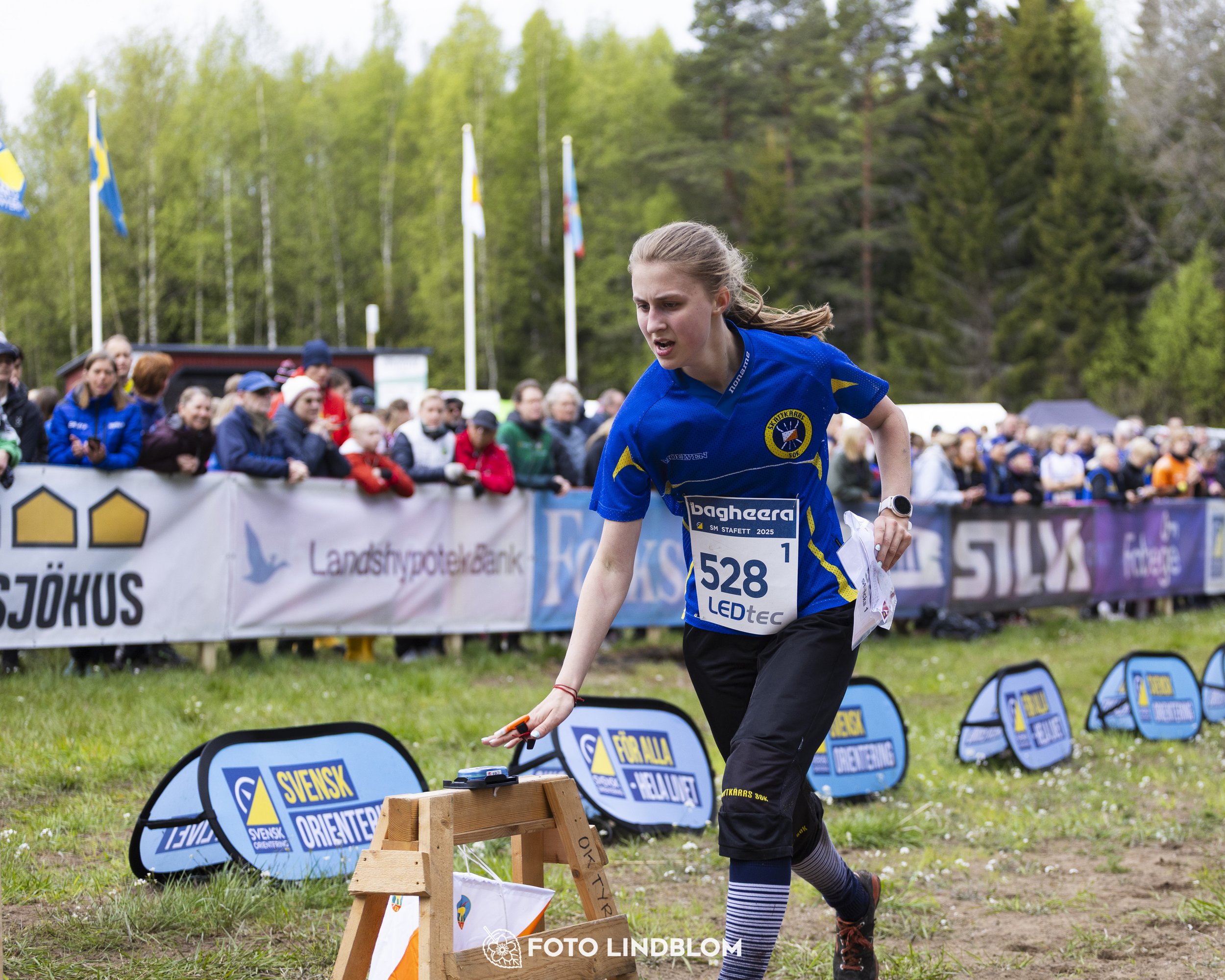 A picture from the Swedish national championship in relay orienteering