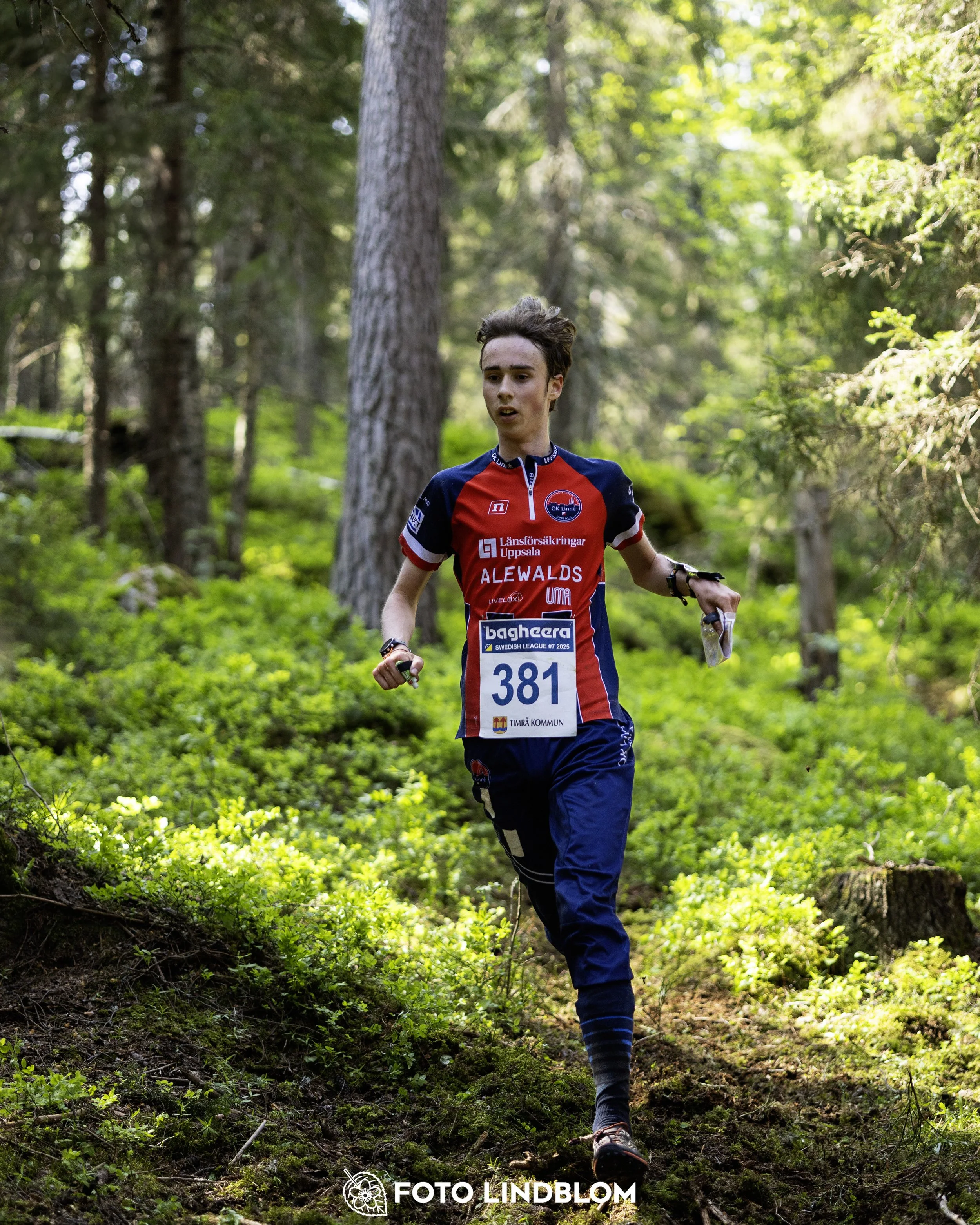 A picture from the seventh stage of the Swedish League orienteering competition