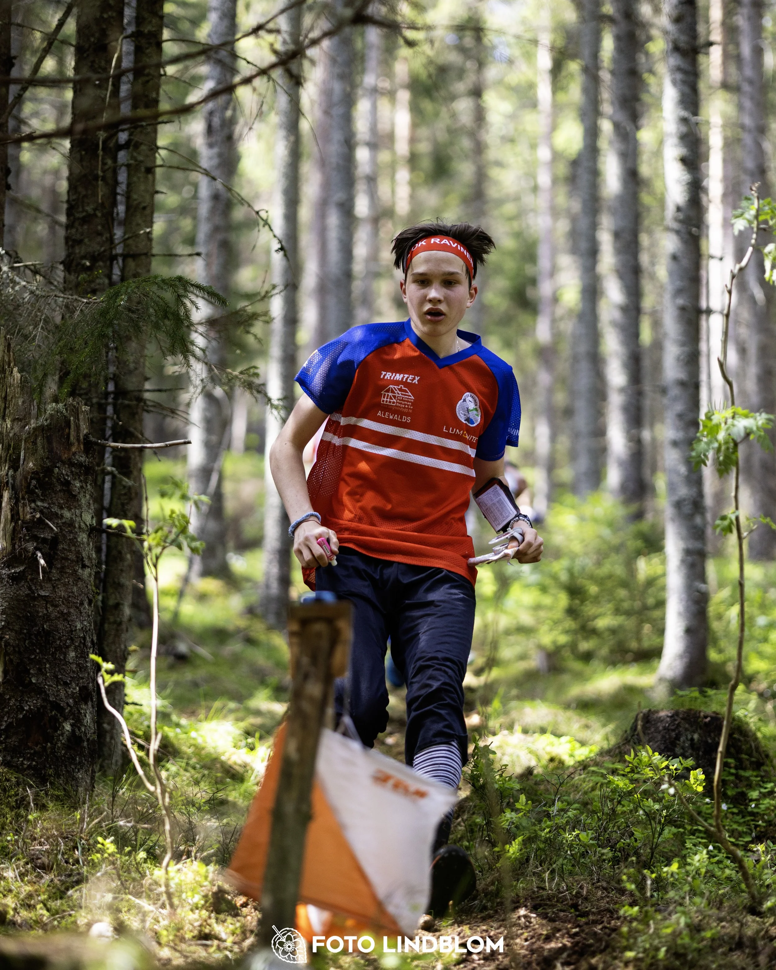 A picture from the seventh stage of the Swedish League orienteering competition