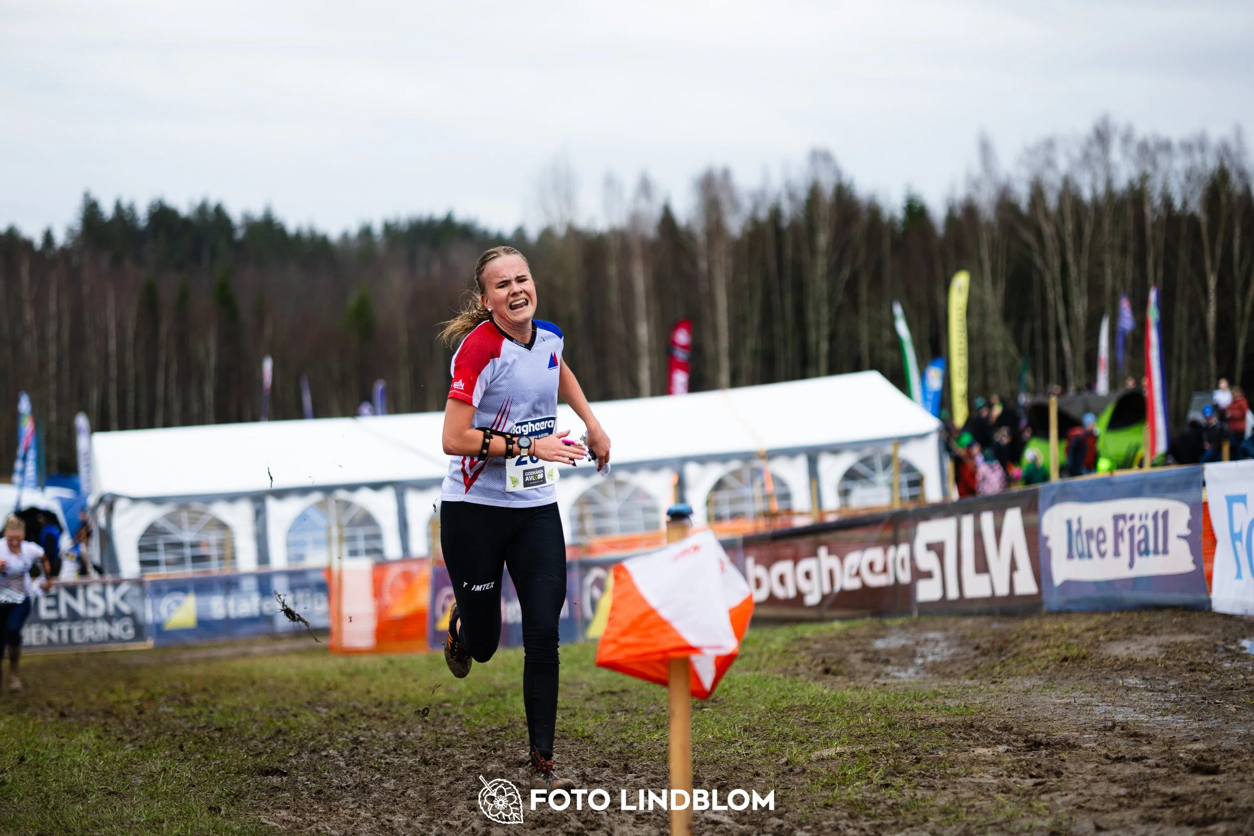 A moment from a middle distance orienteering race in Kolmården during the Swedish League 2026, captured by Foto Lindblom.