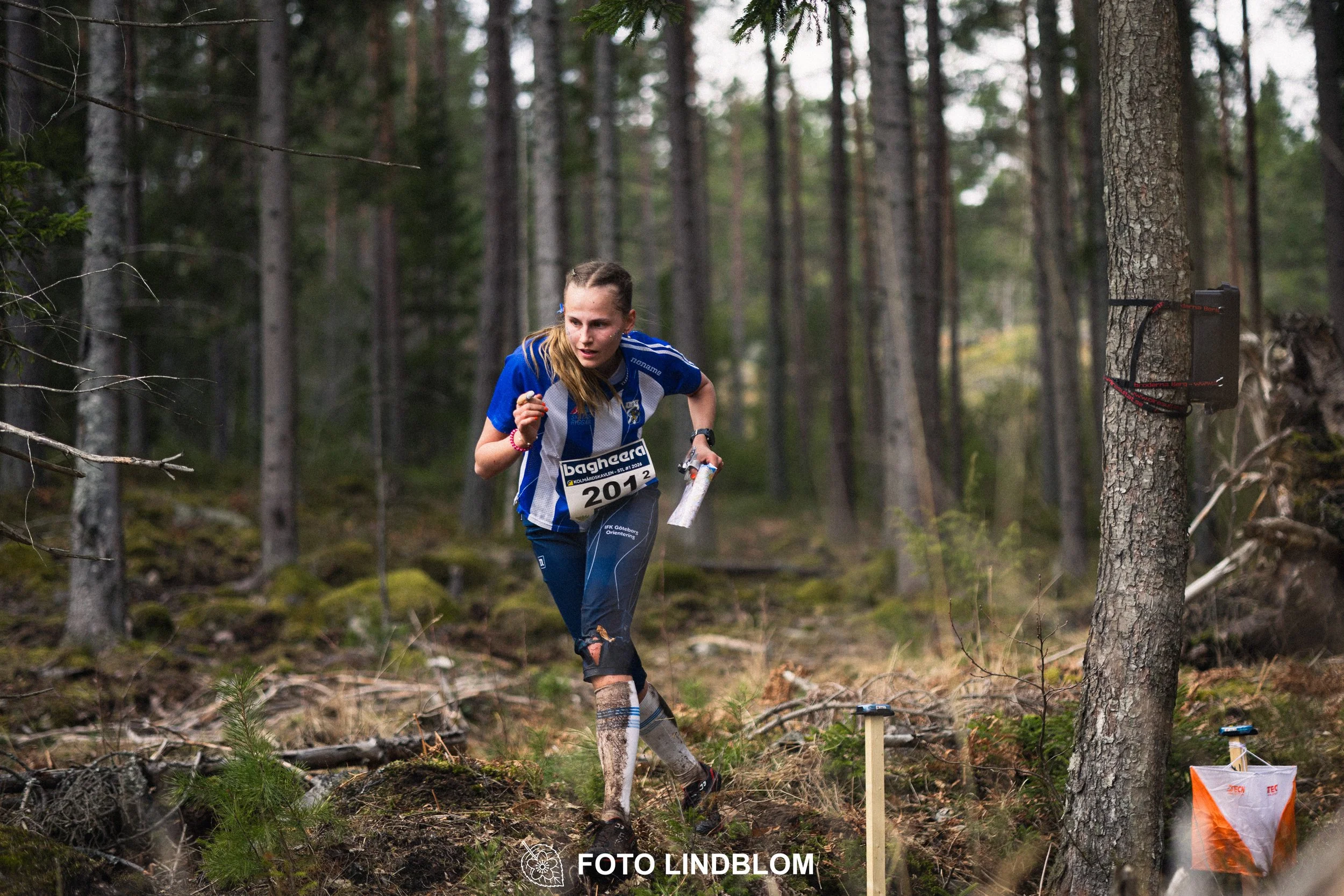 A moment from the relay orienteering event Kolmårdskavlen in spring 2026, captured by Foto Lindblom.