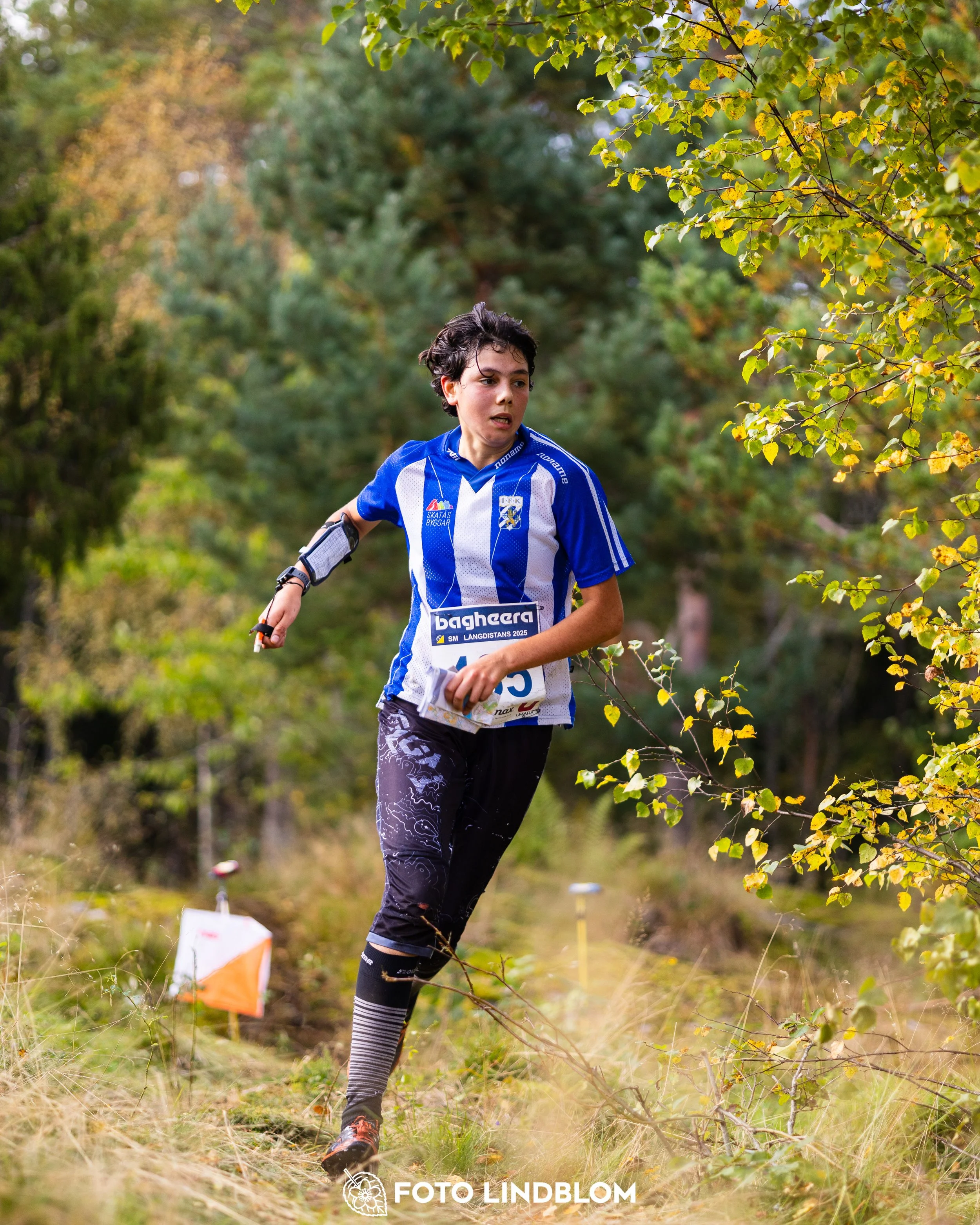 A picture from the Swedish national championship in long distance orienteering and Swedish league race taken by Foto Lindblom
