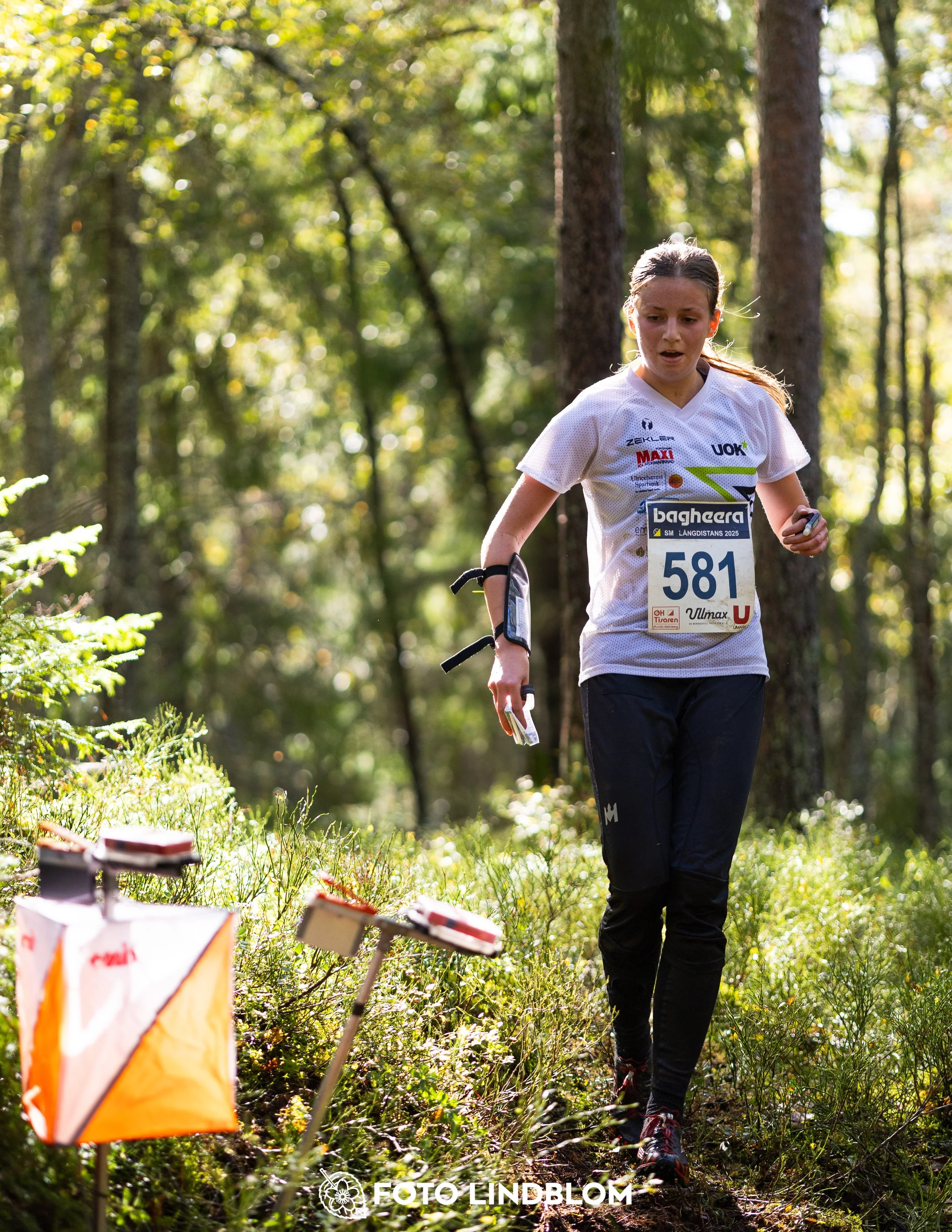 A picture from the Swedish national championship in long distance orienteering and Swedish league race taken by Foto Lindblom