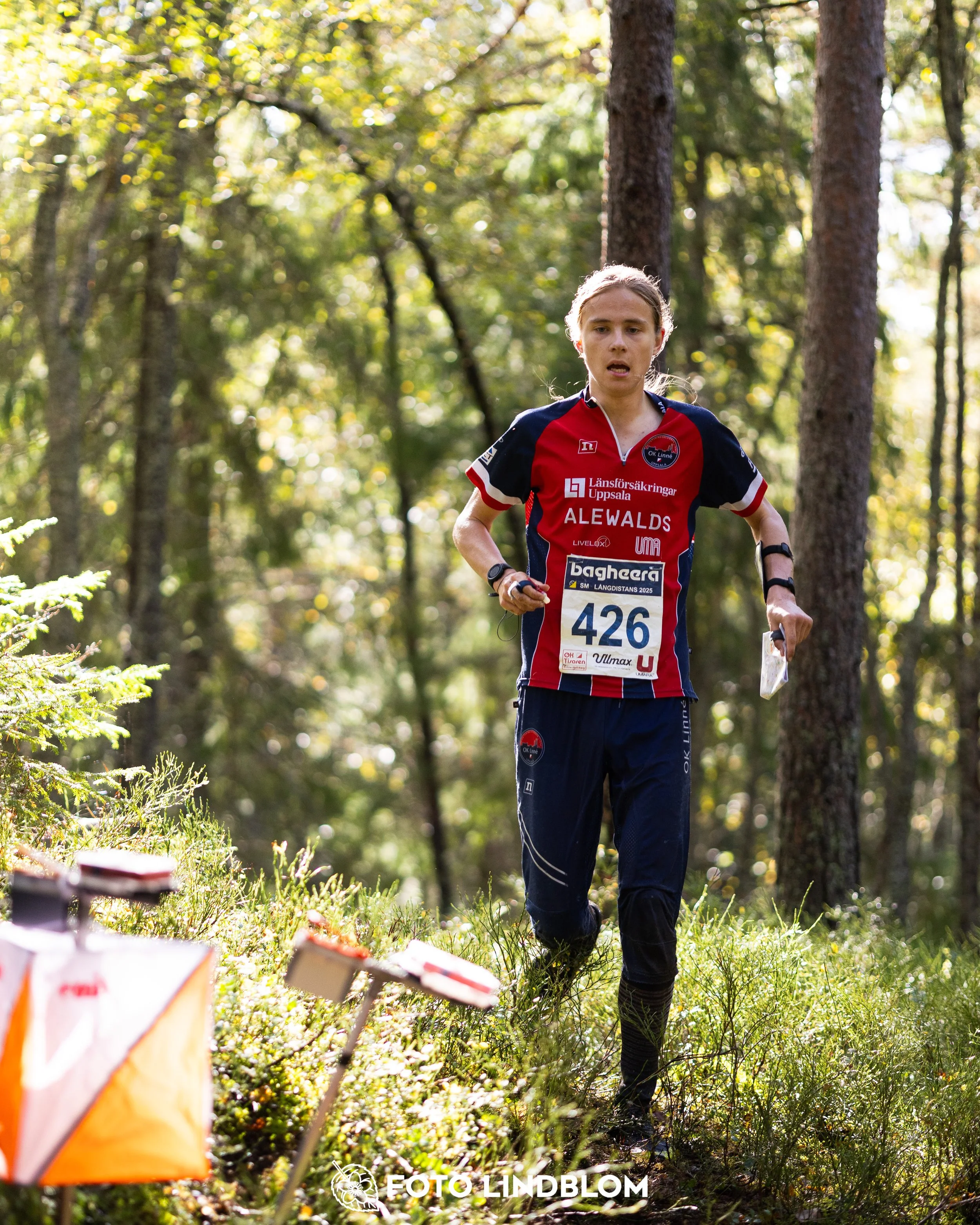 A picture from the Swedish national championship in long distance orienteering and Swedish league race taken by Foto Lindblom