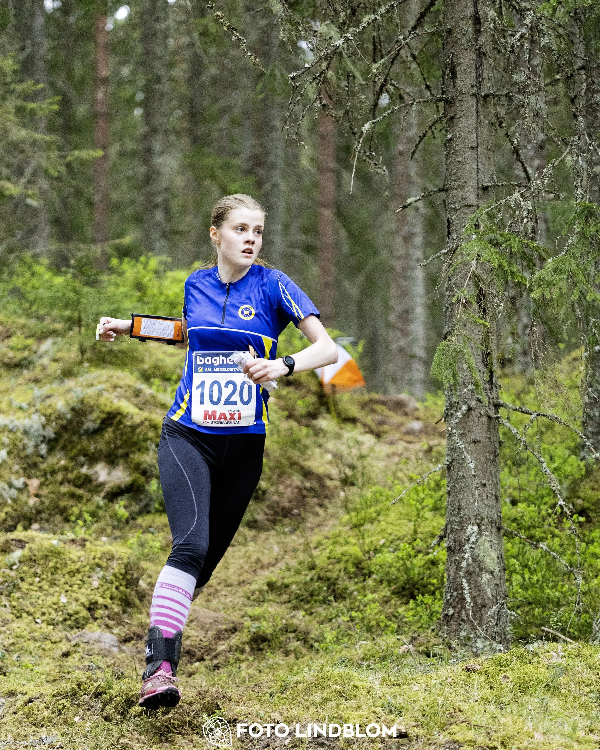 A picture from the Swedish national championship in middle distance orienteering and Swedish league race