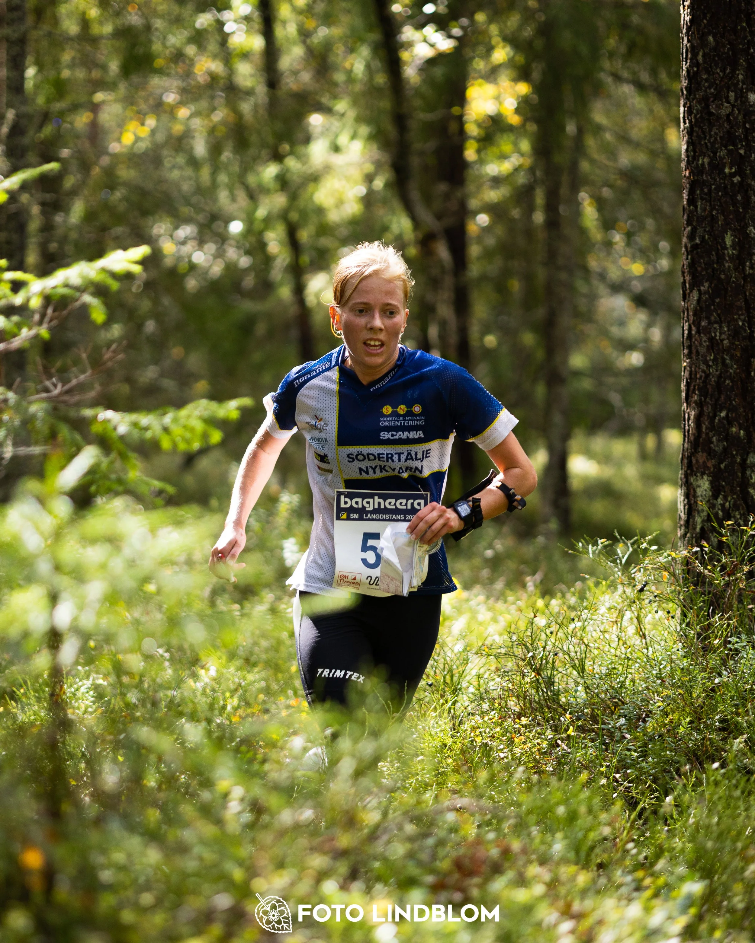 A picture from the Swedish national championship in long distance orienteering and Swedish league race taken by Foto Lindblom