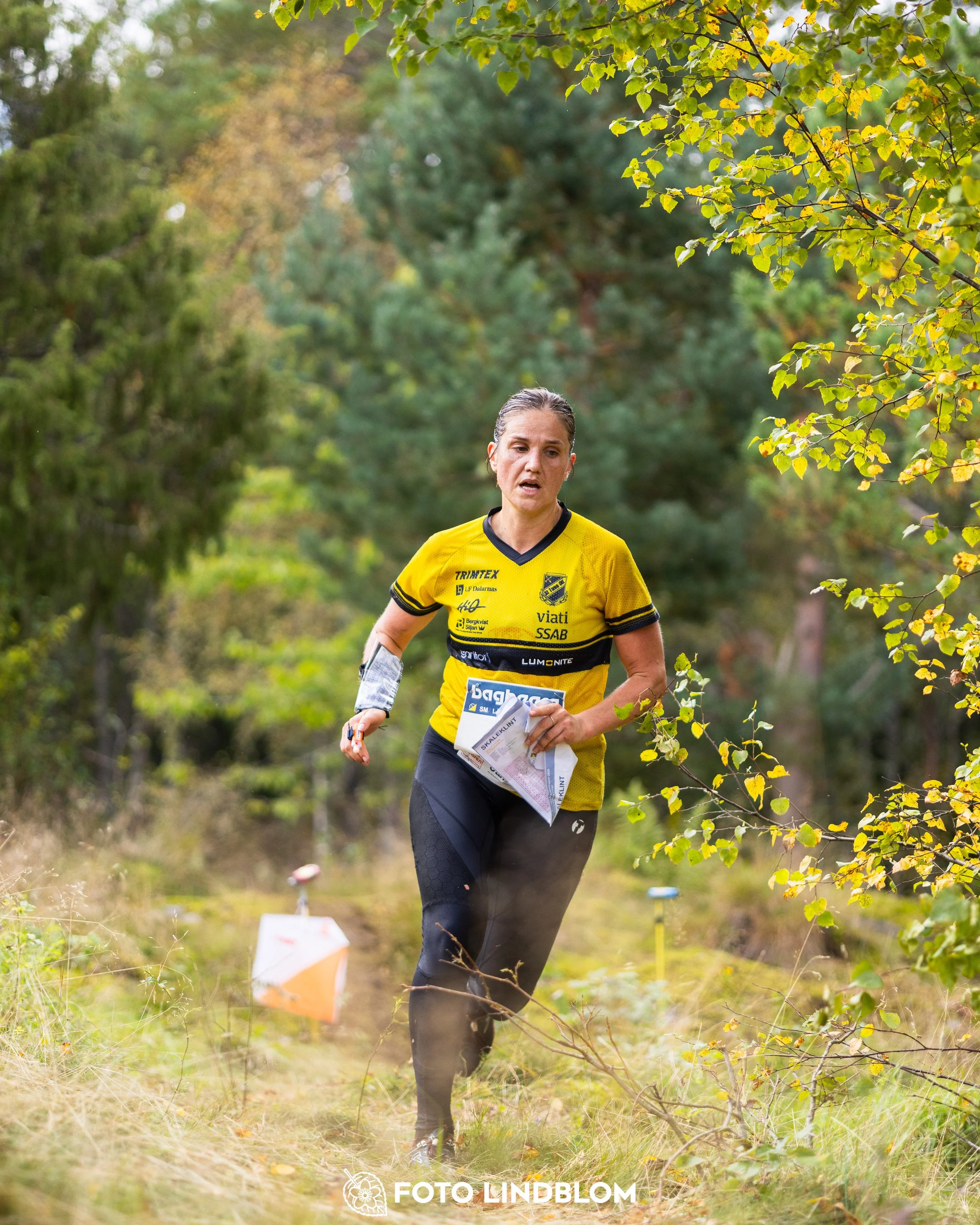 A picture from the Swedish national championship in long distance orienteering and Swedish league race taken by Foto Lindblom