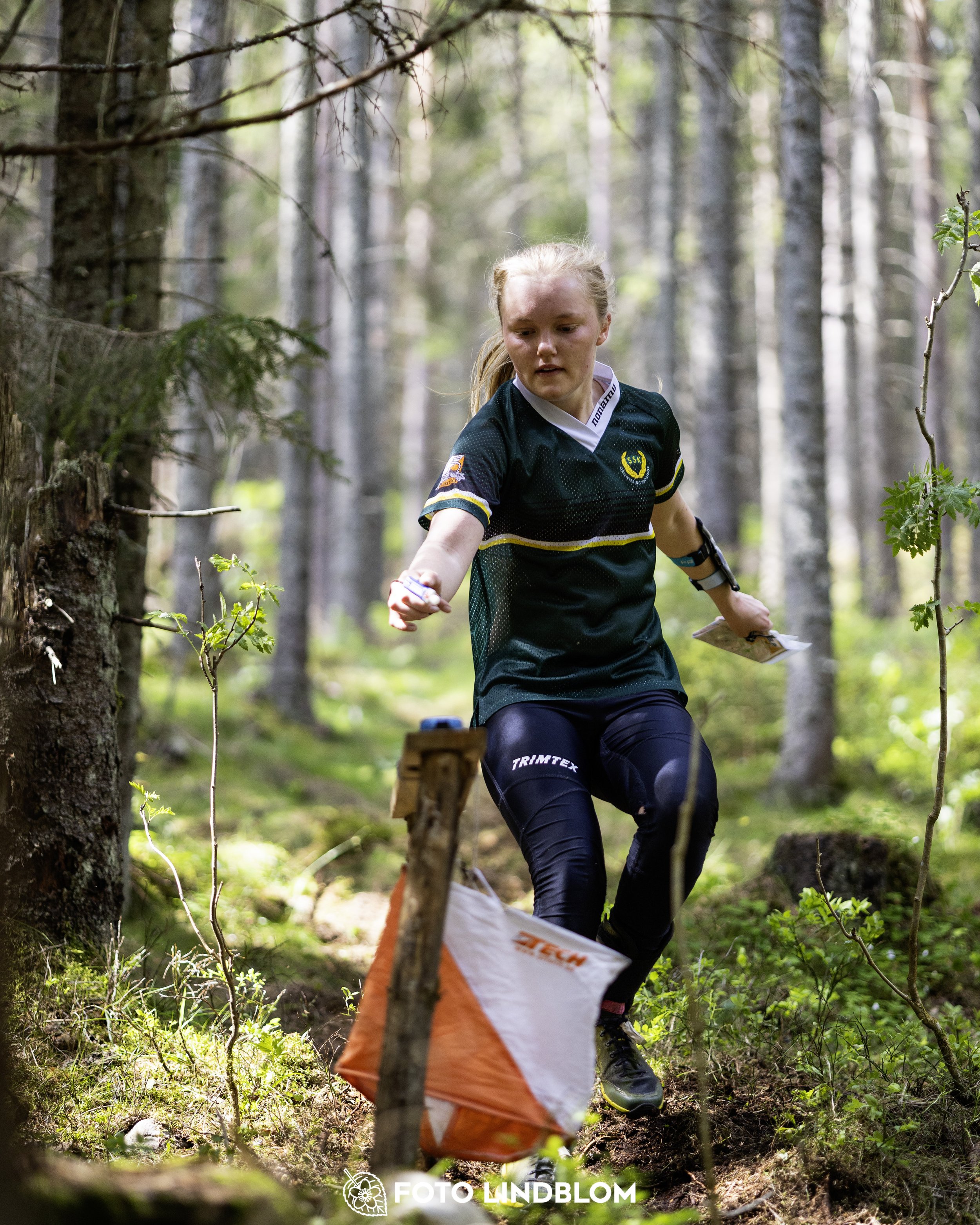 A picture from the seventh stage of the Swedish League orienteering competition