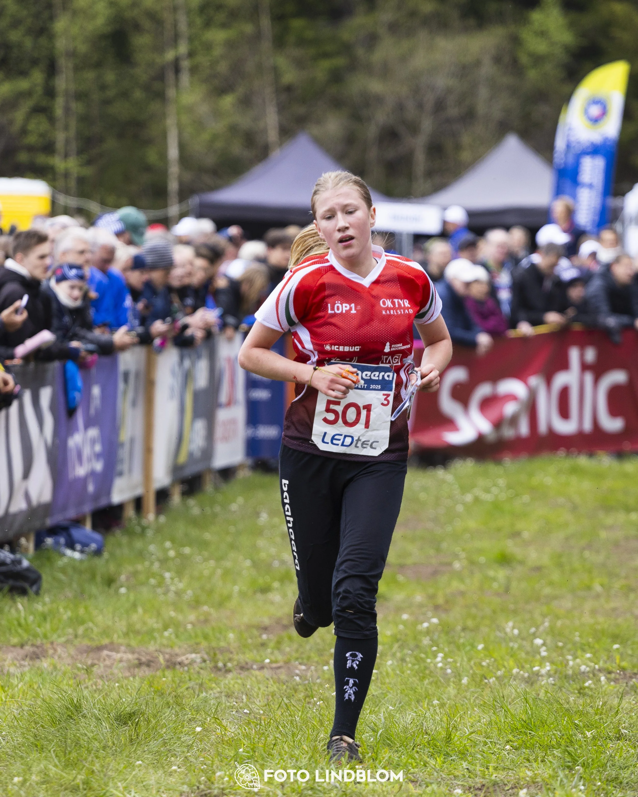 A picture from the Swedish national championship in relay orienteering